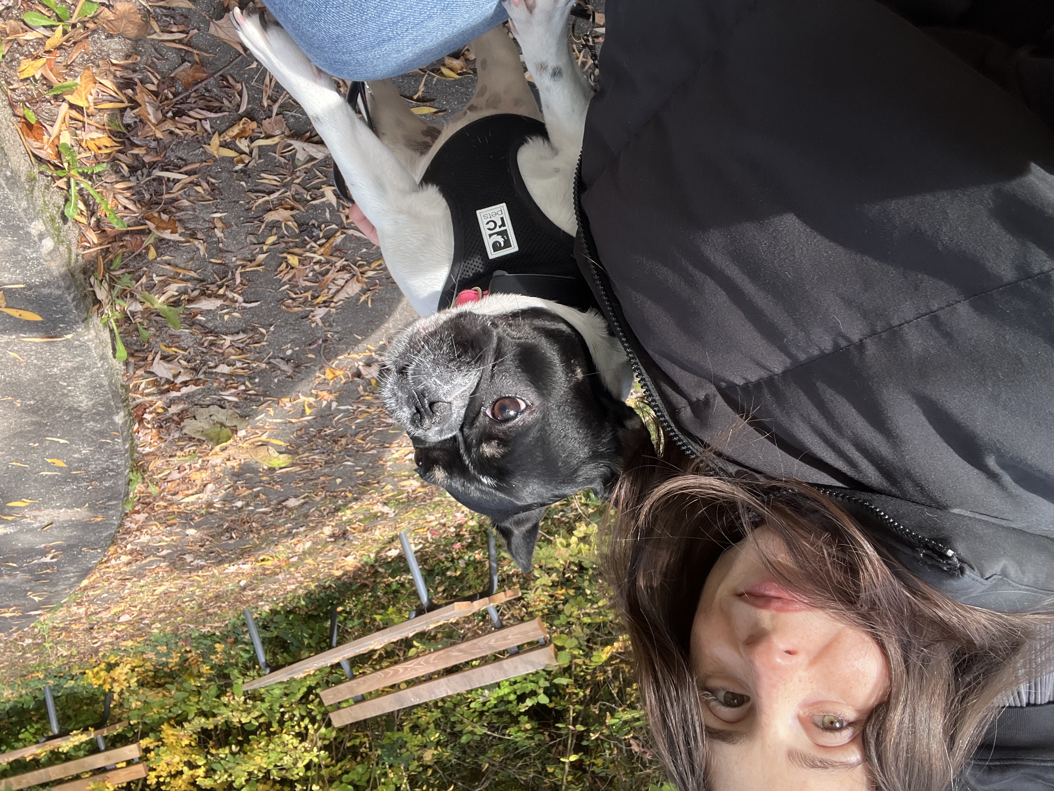 image-8