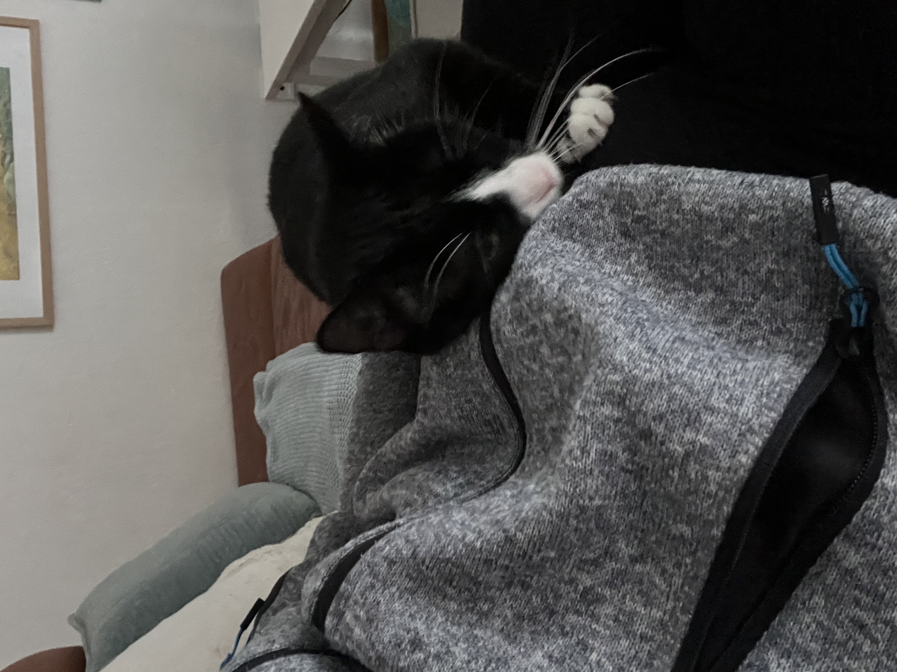 image-12