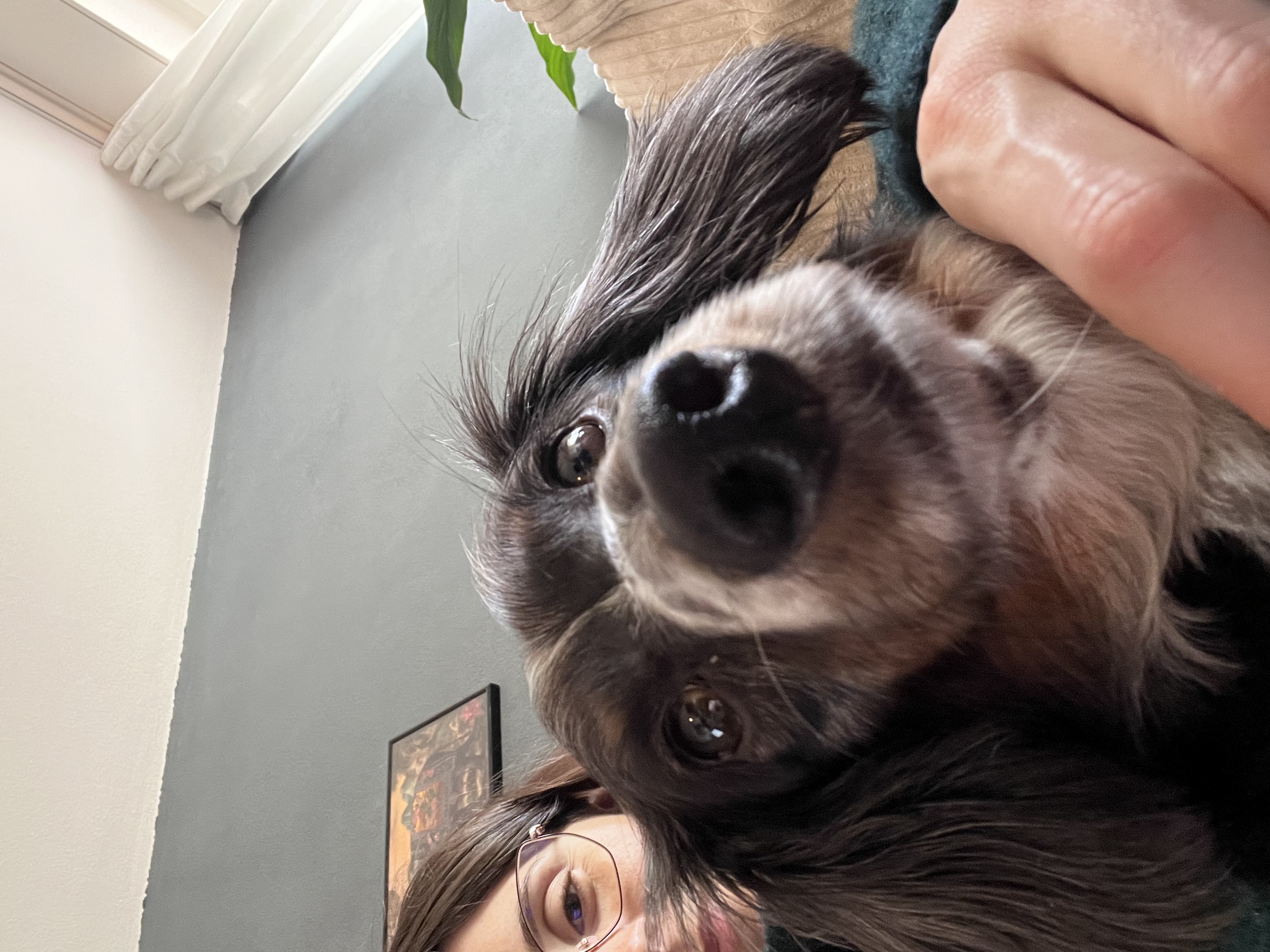 image-6