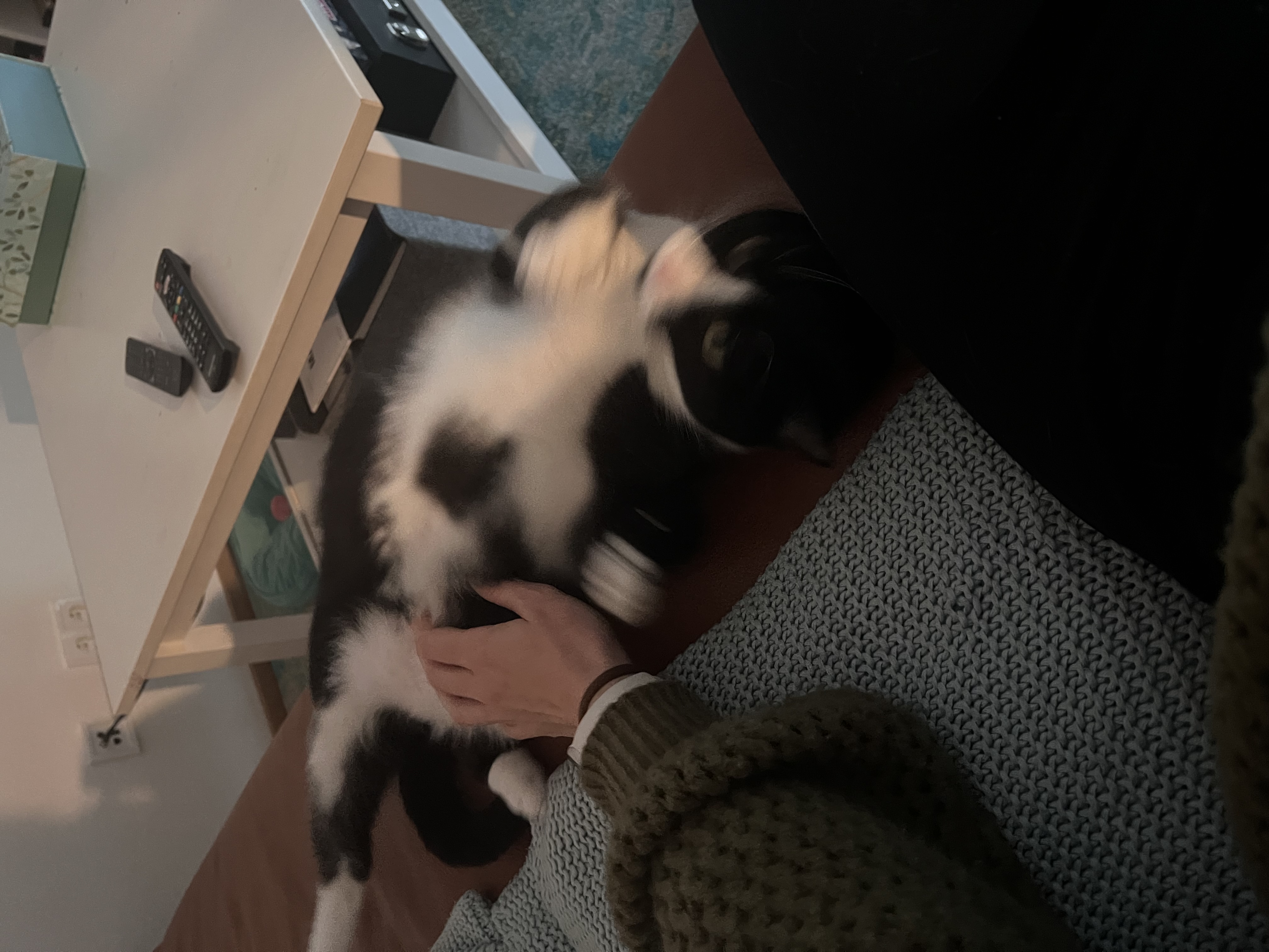 image-9