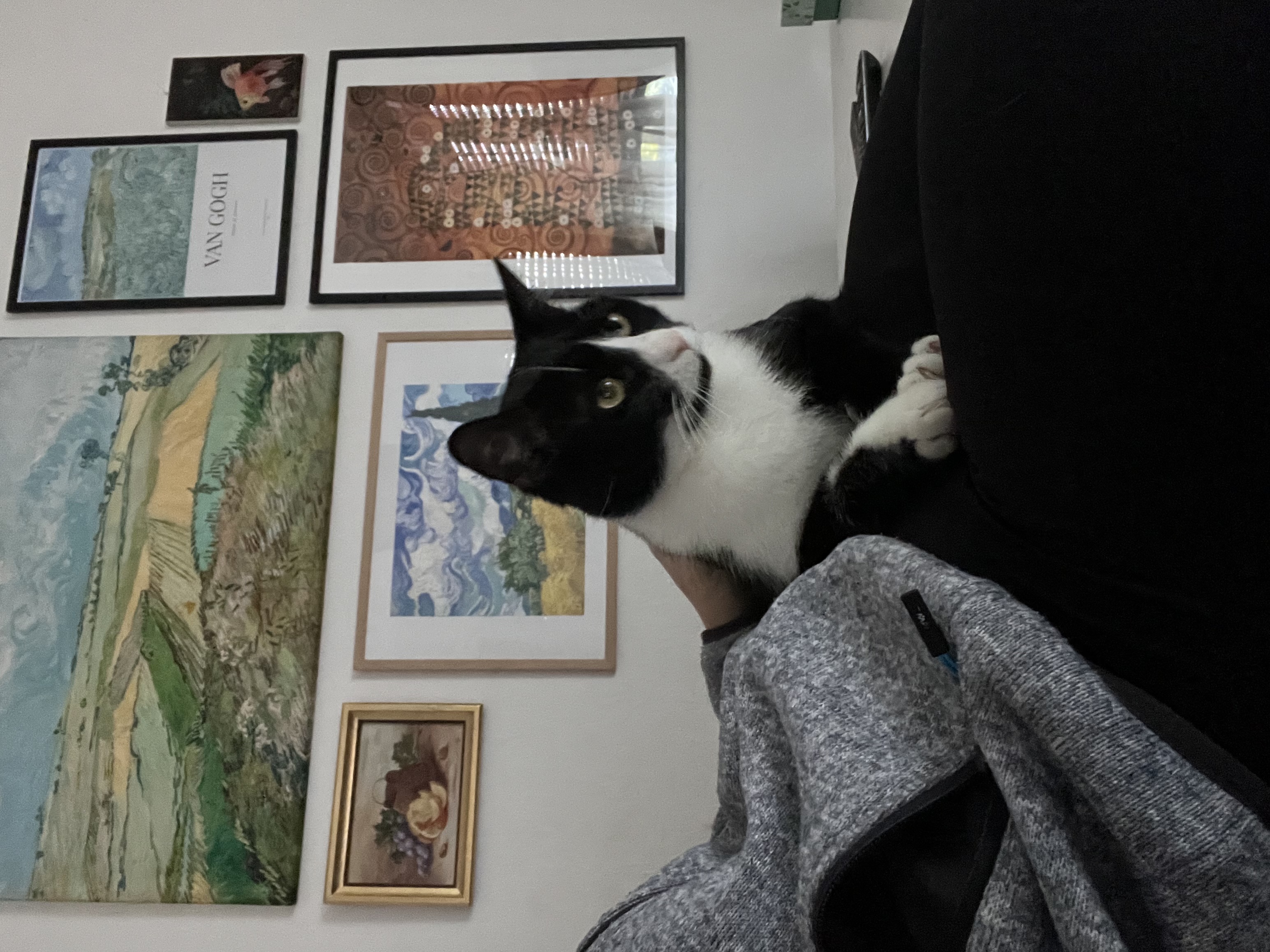 image-13