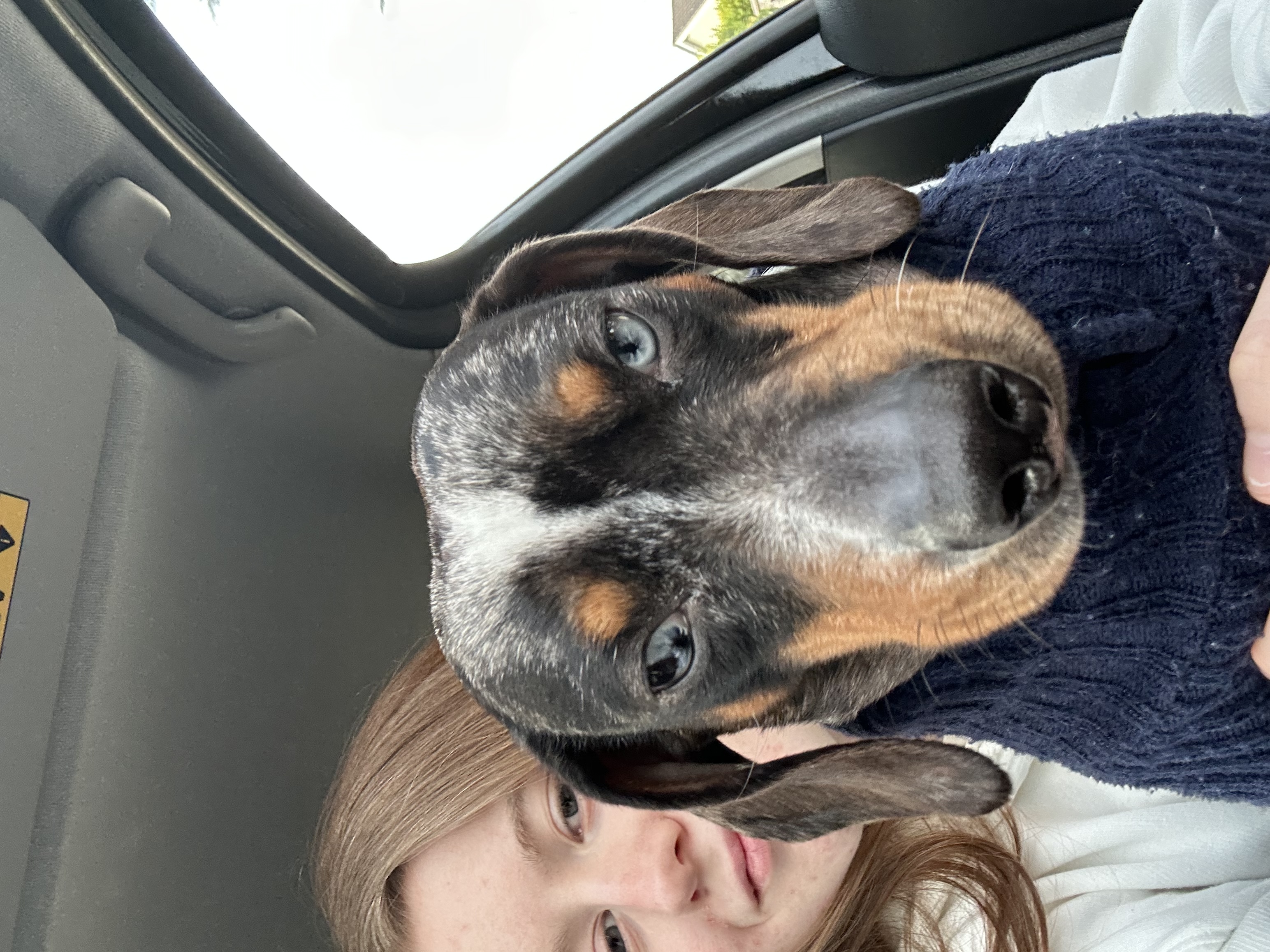 image-6