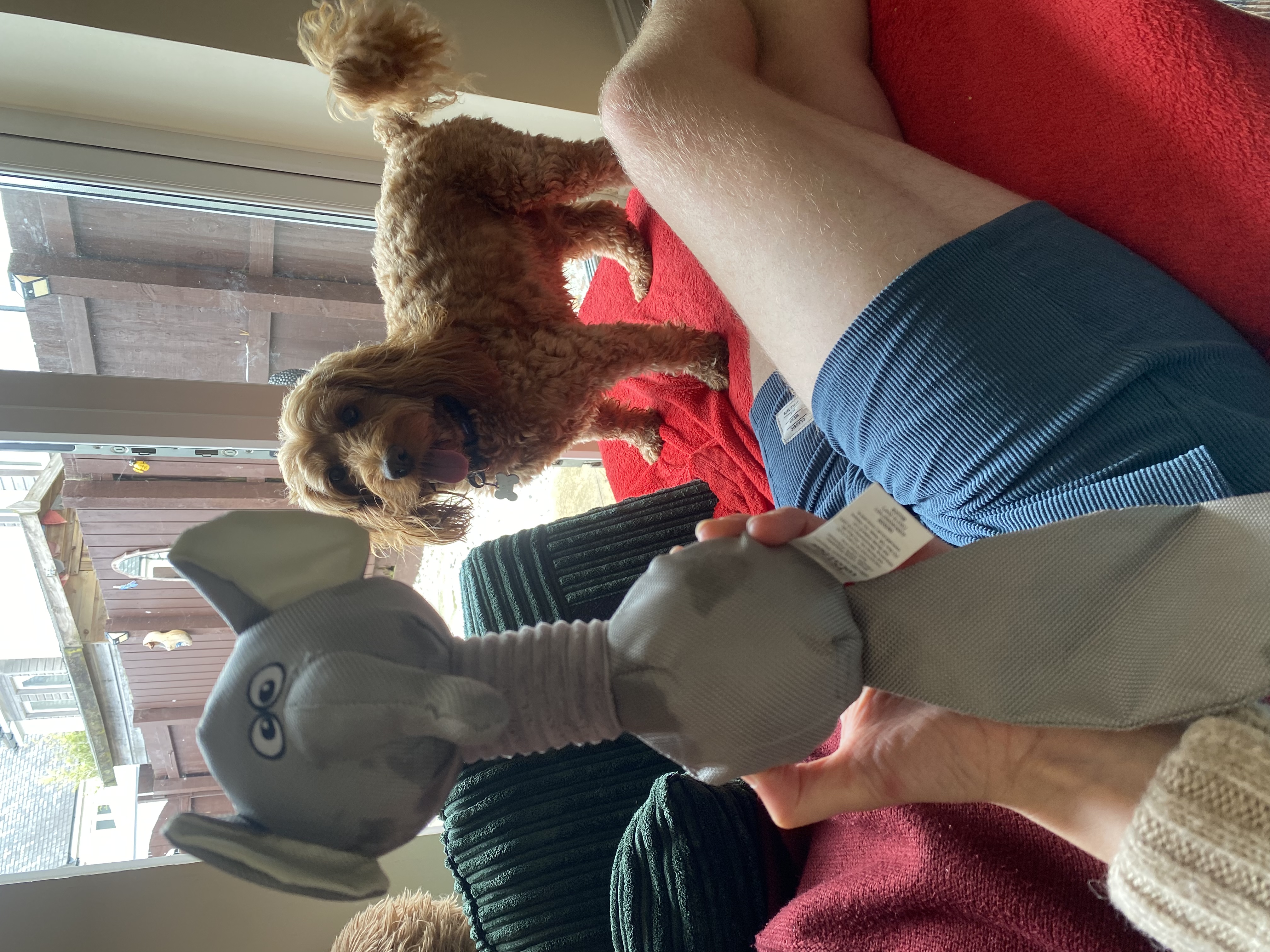 image-12