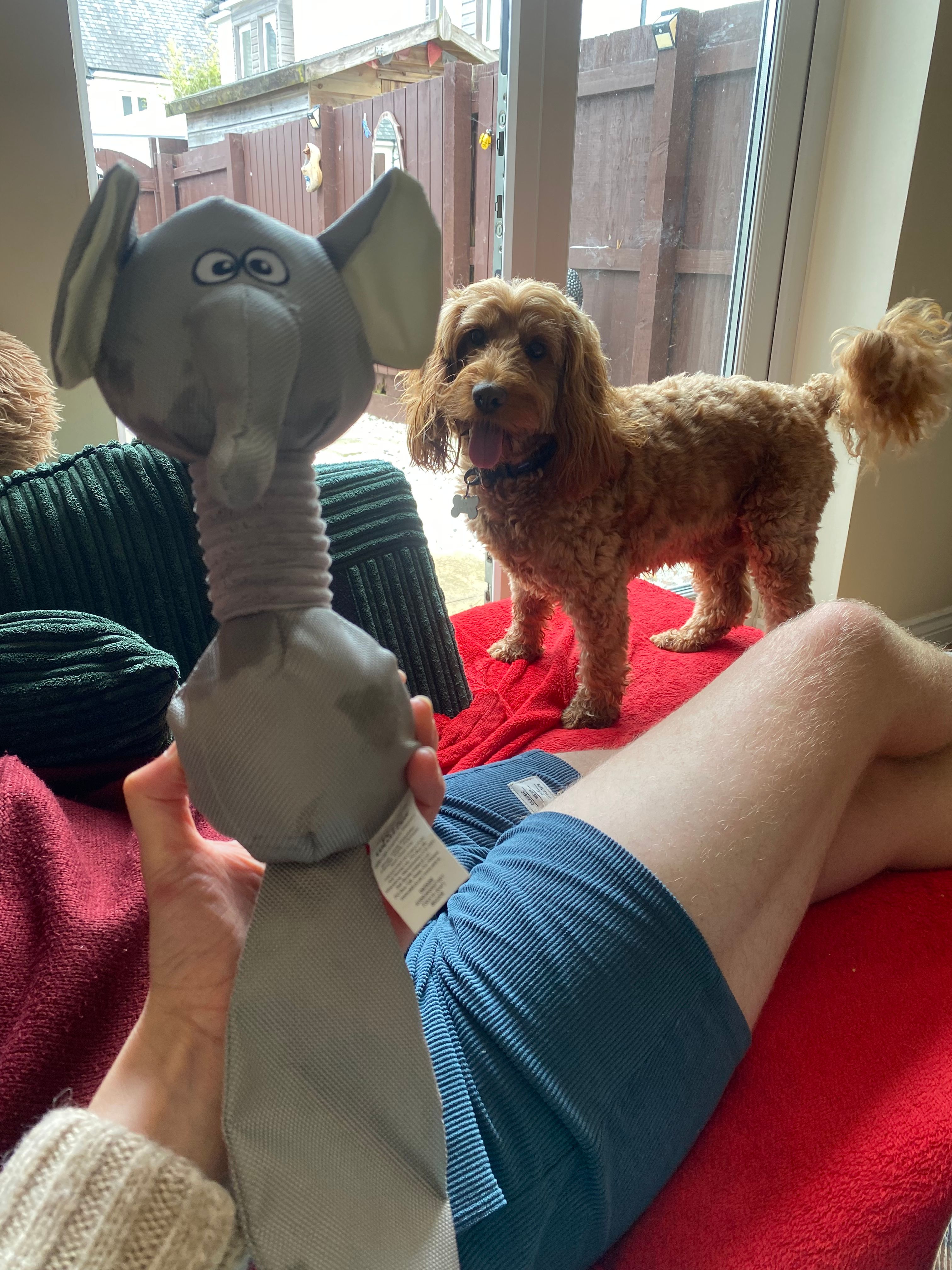 image-12