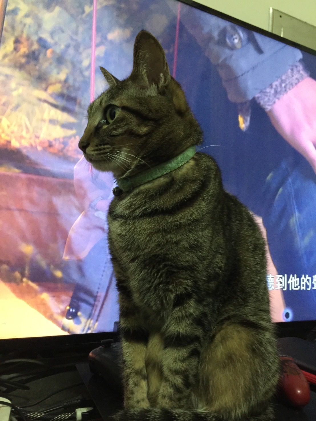 image-7