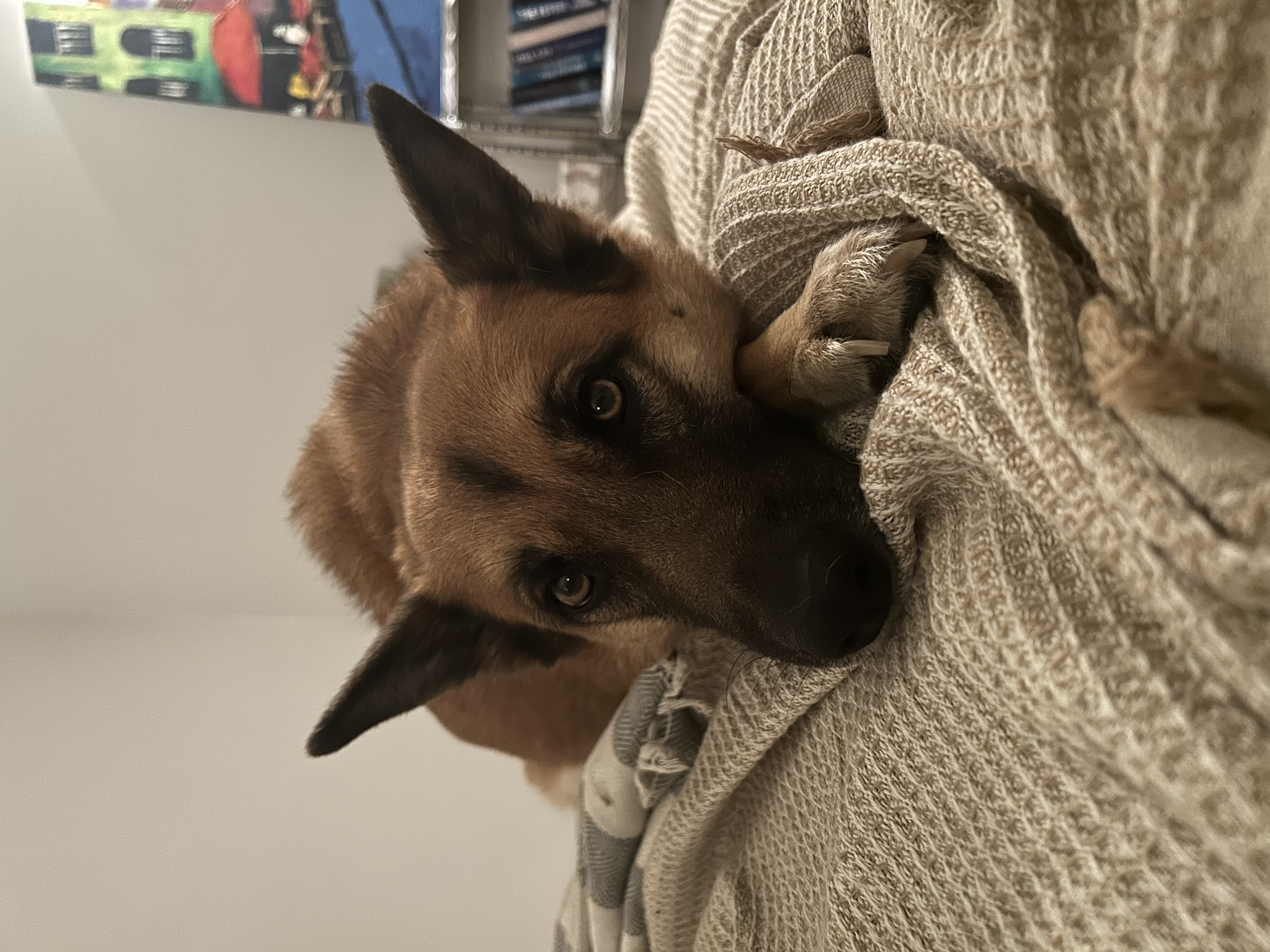 image-15