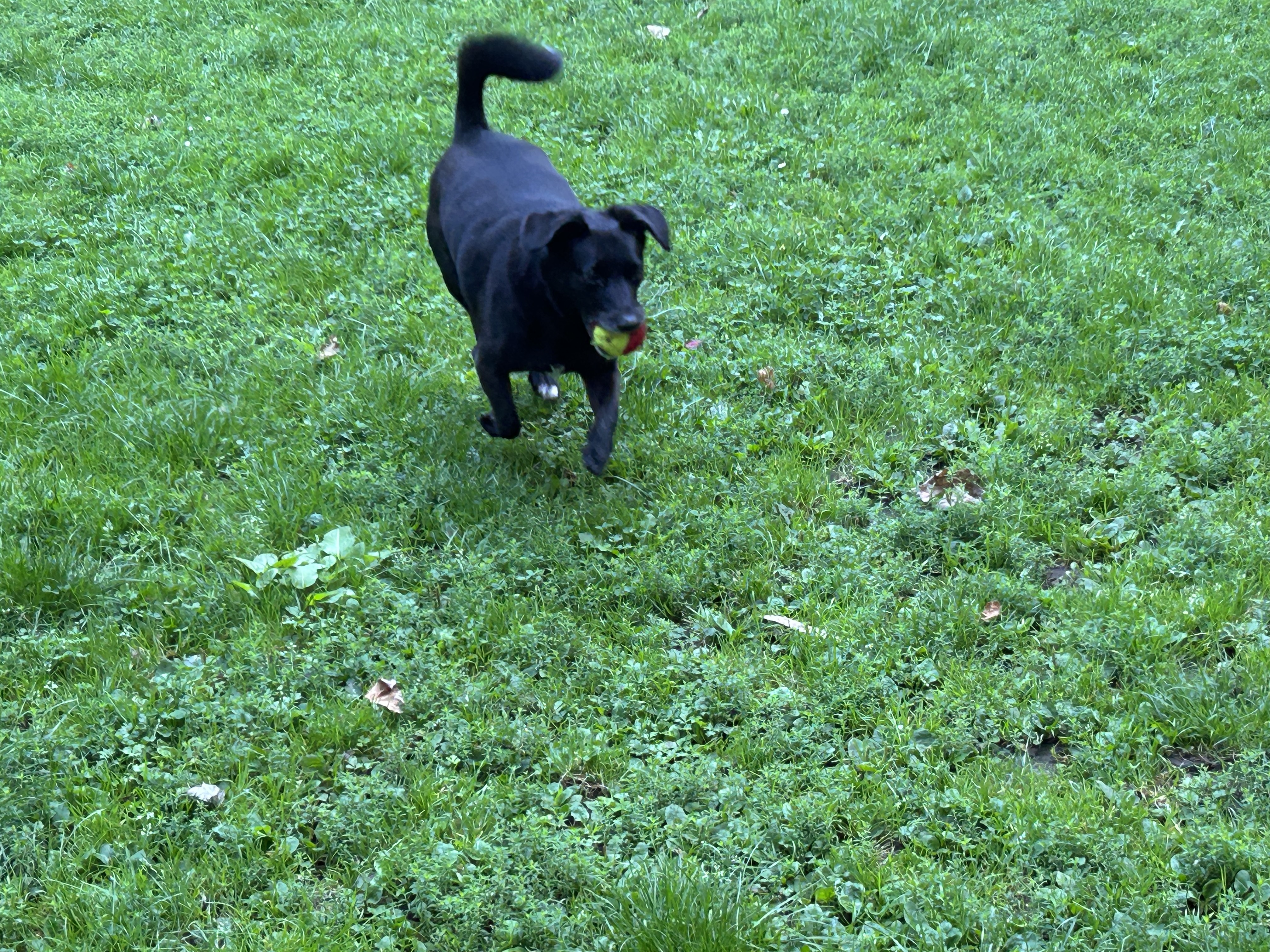 image-6