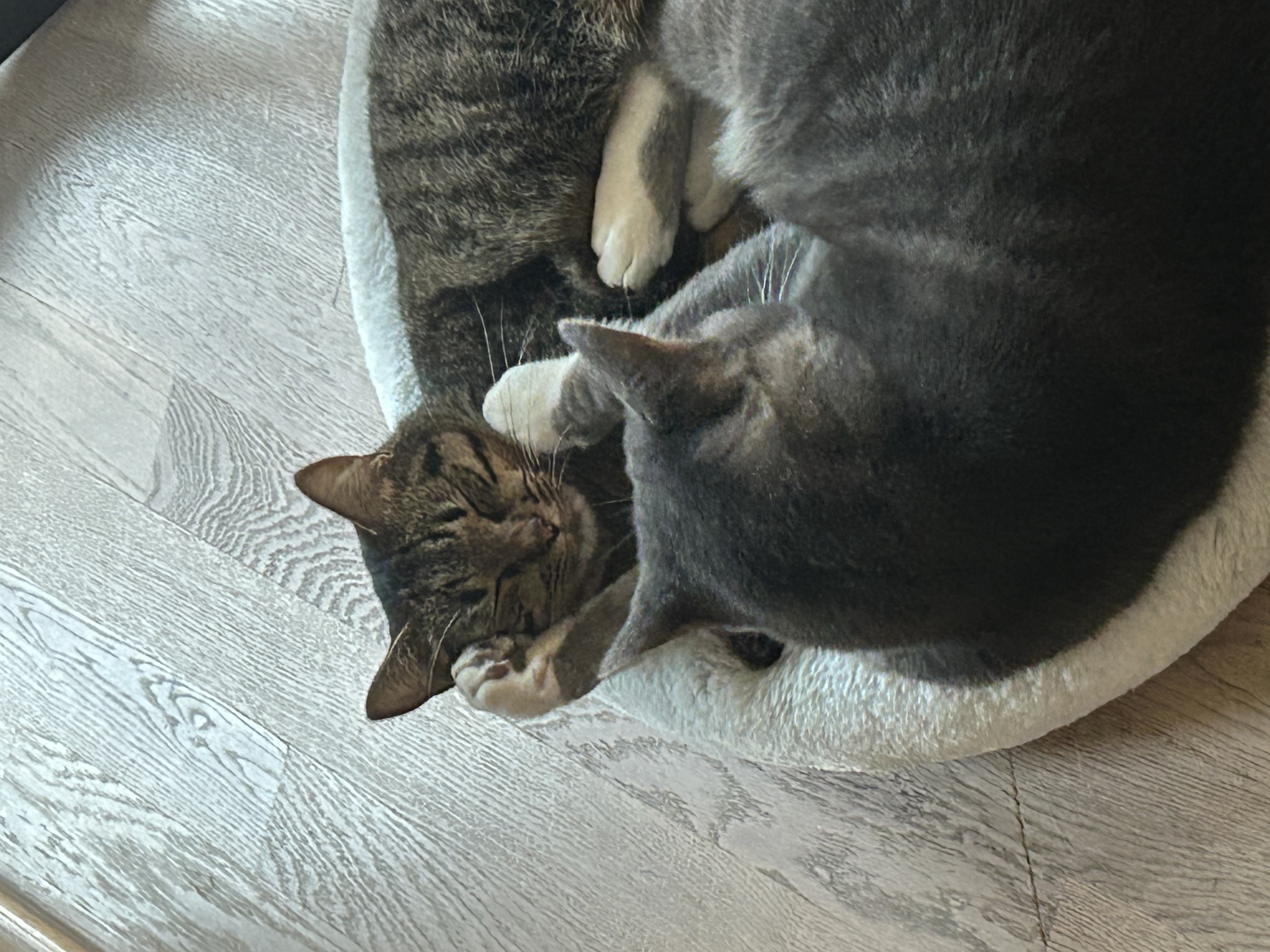 image-11