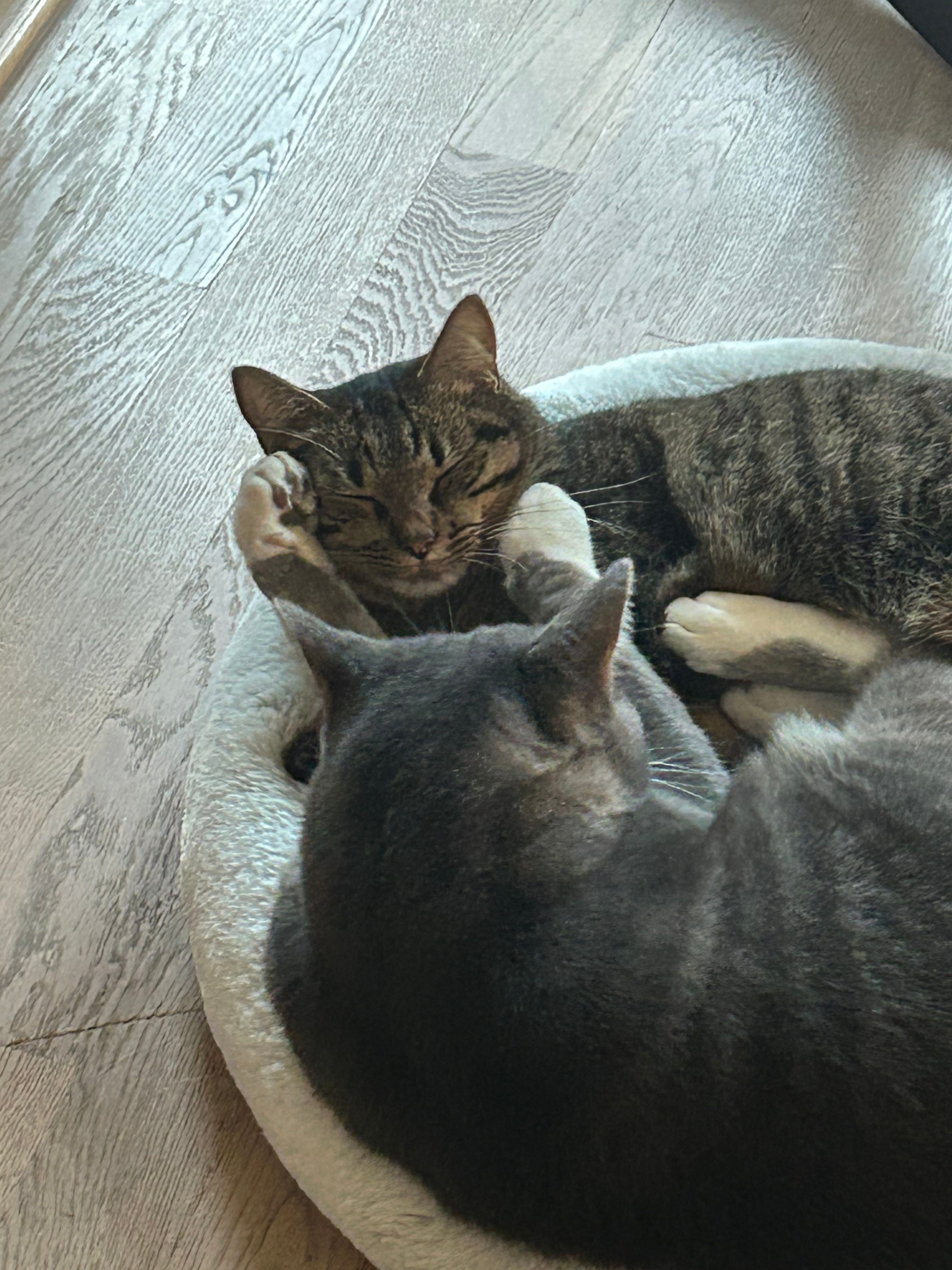 image-11