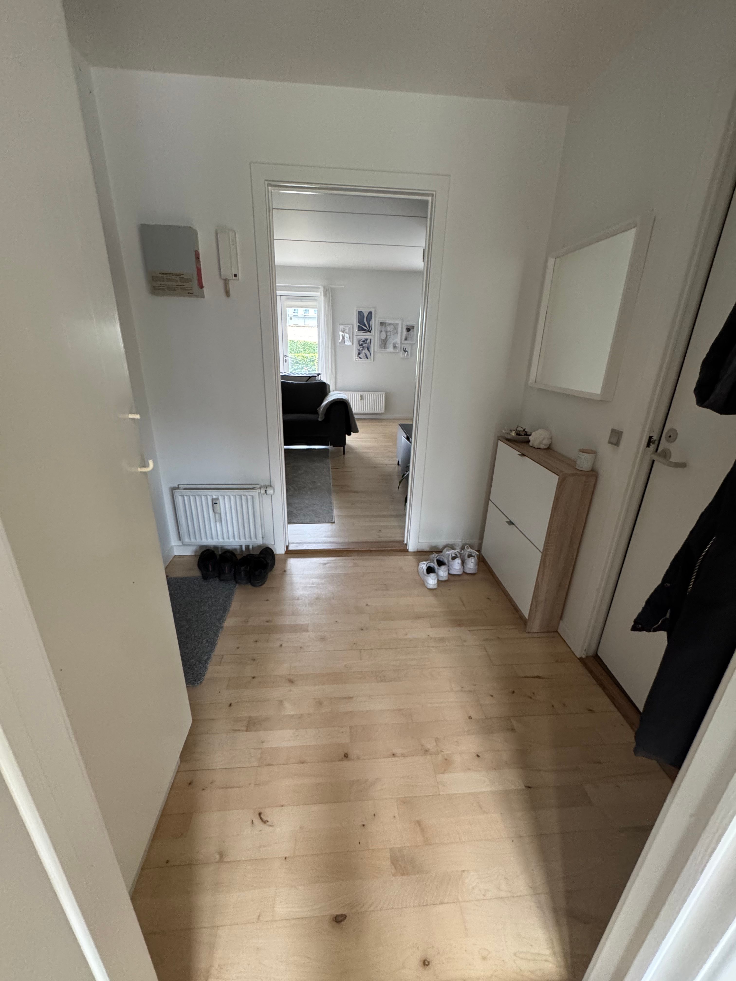 image-19