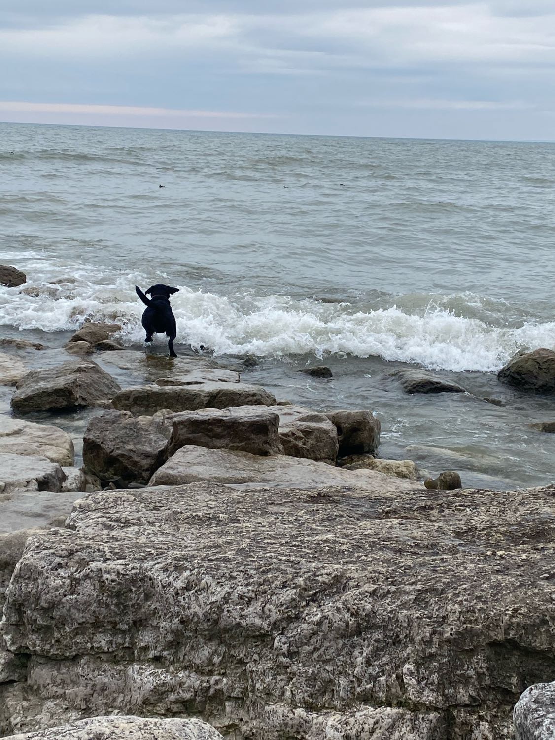image-12
