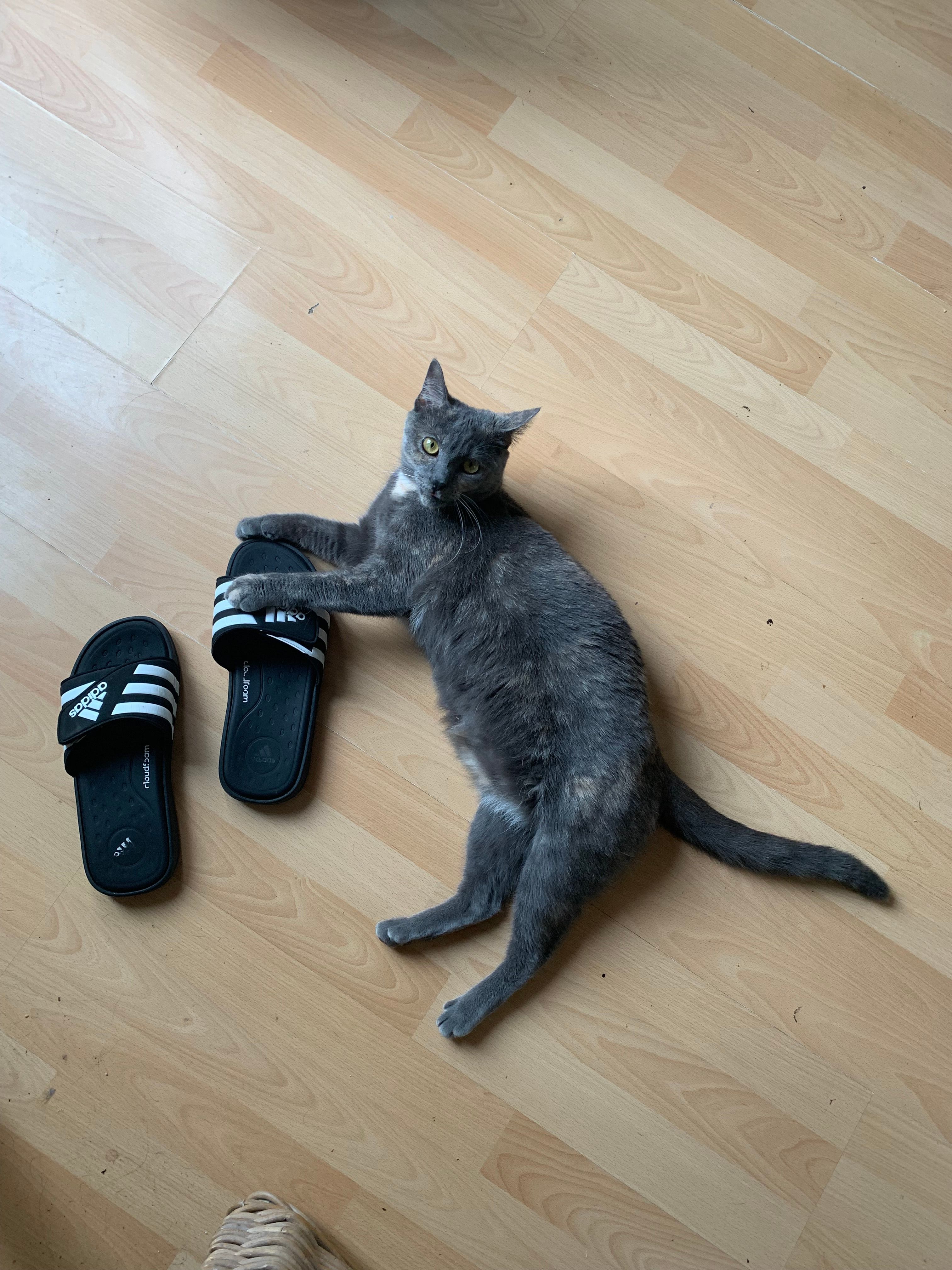 image-13