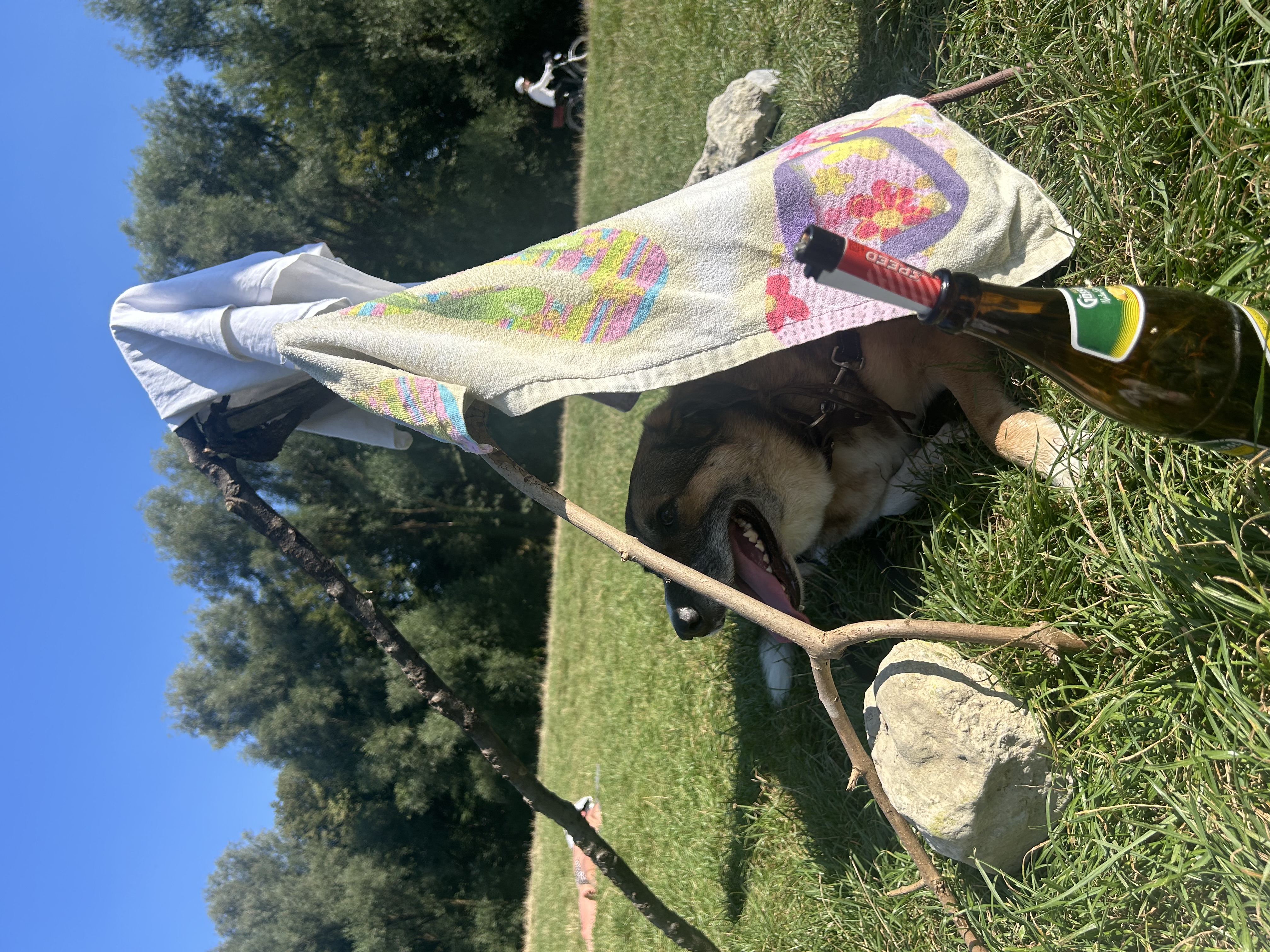 image-6