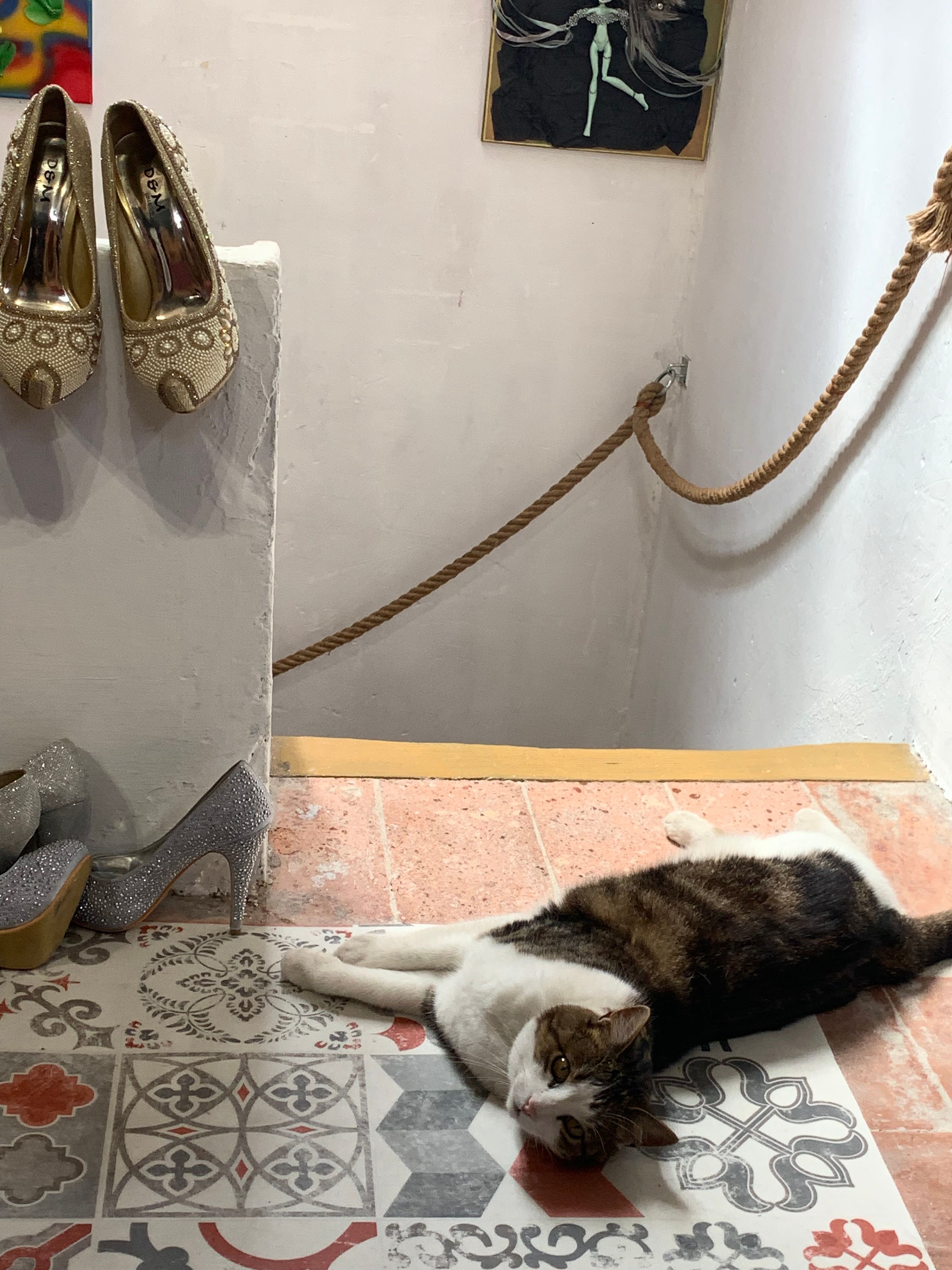 image-11