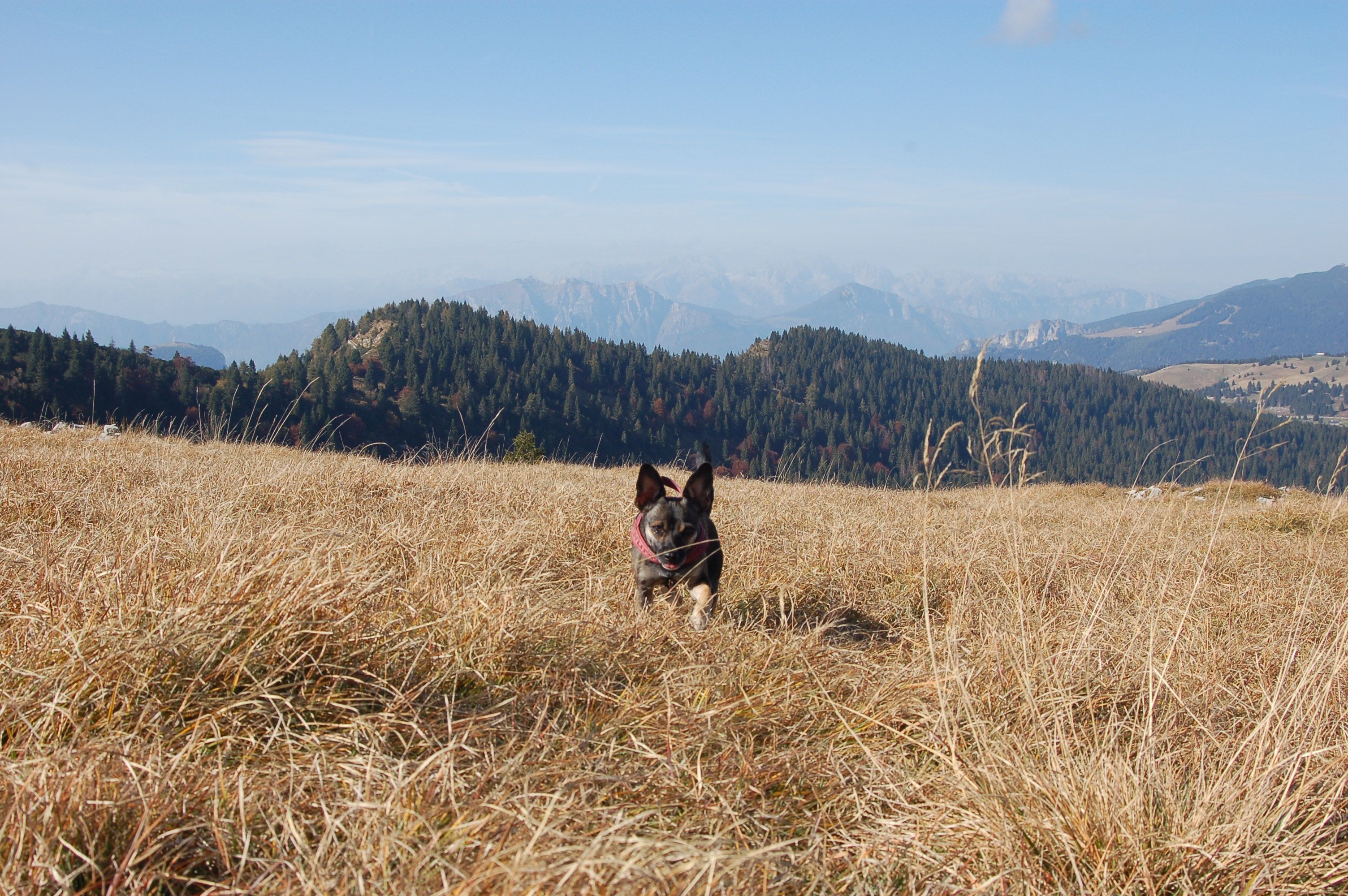 image-6