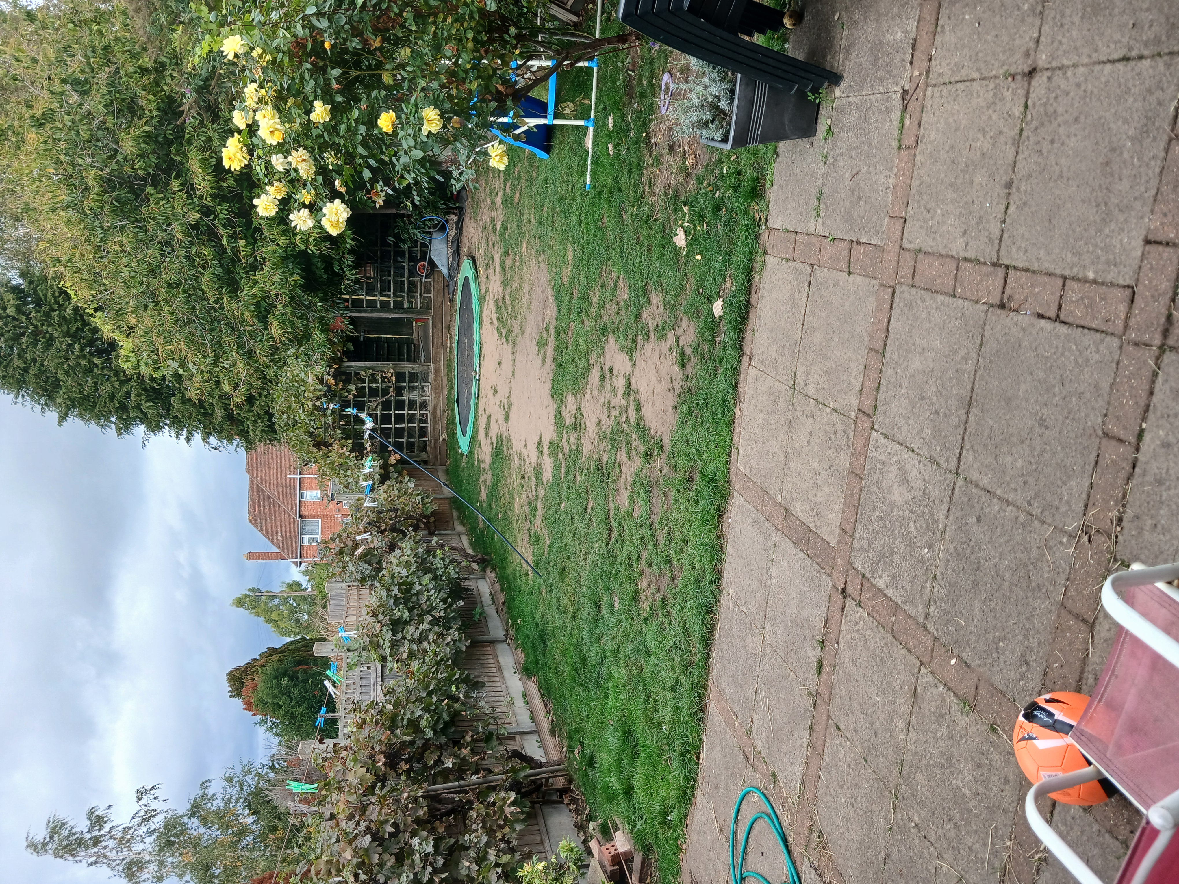 image-7