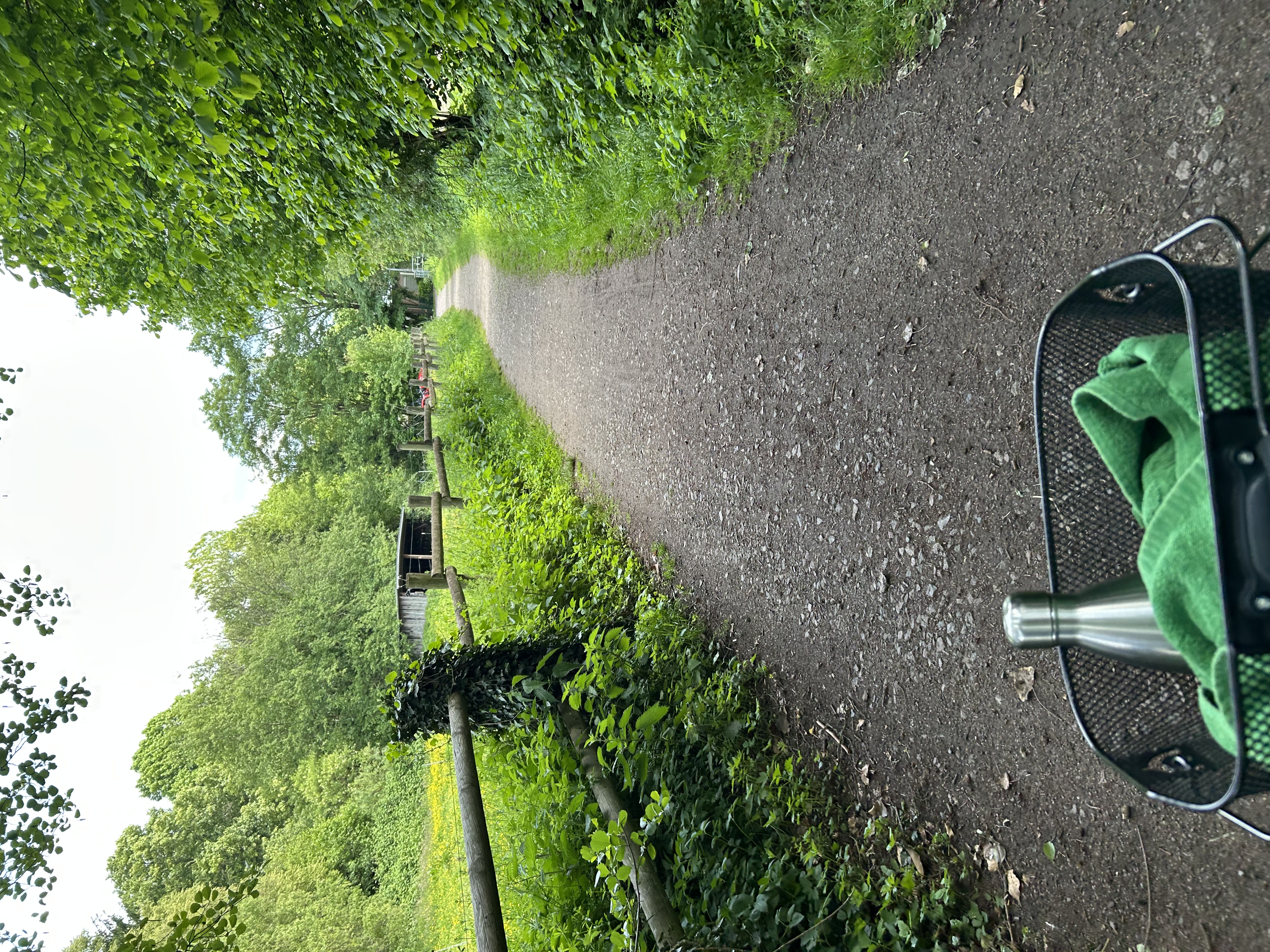 image-7