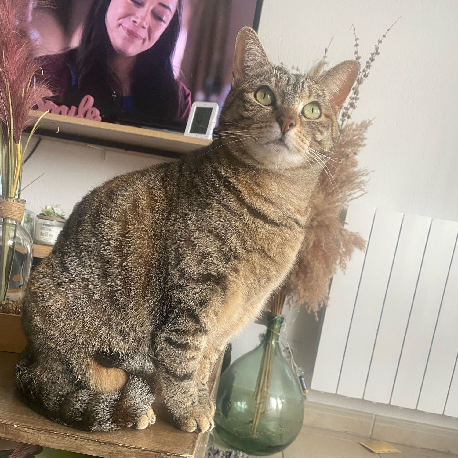 Sookie