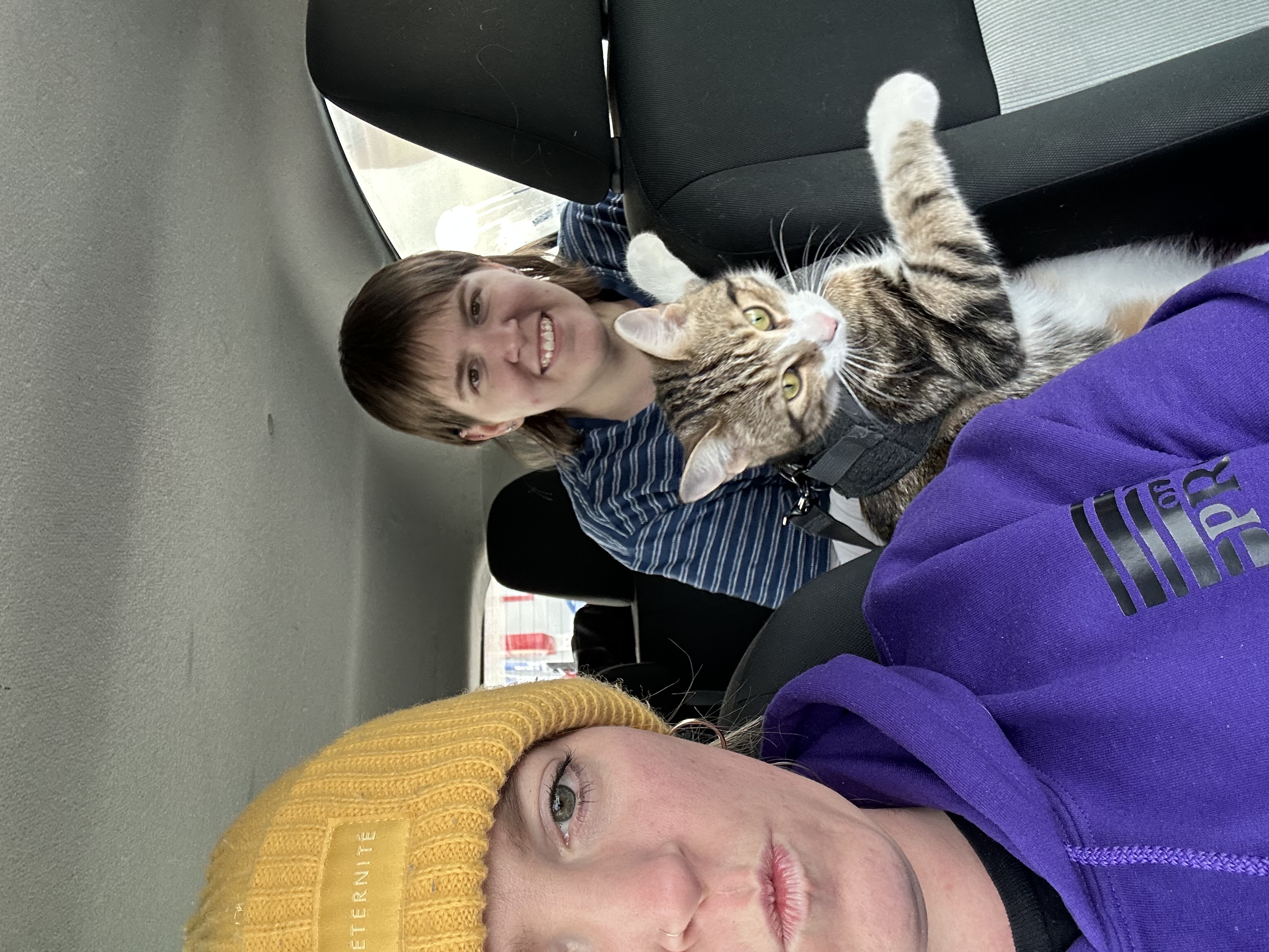 image-7