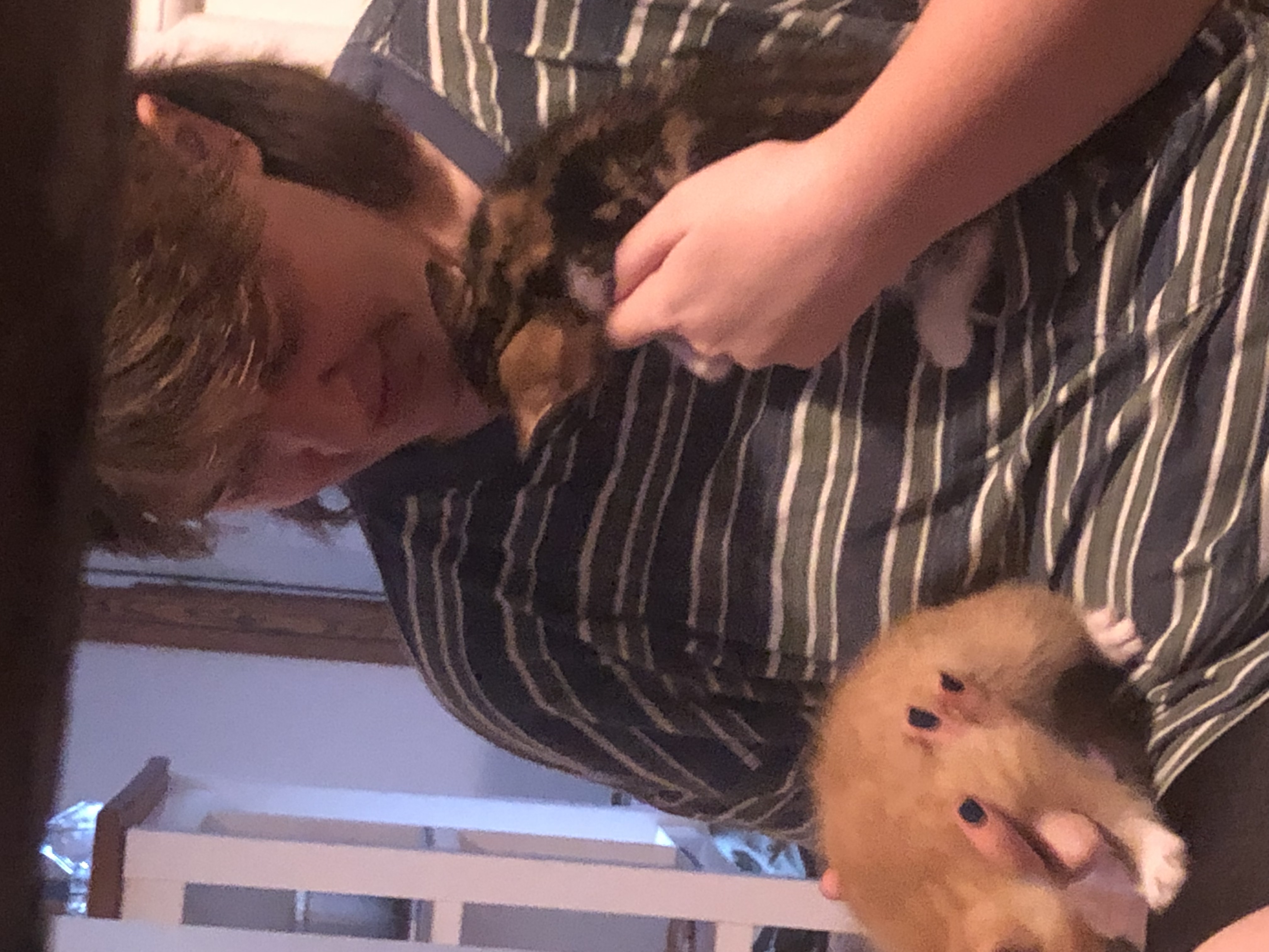 image-8