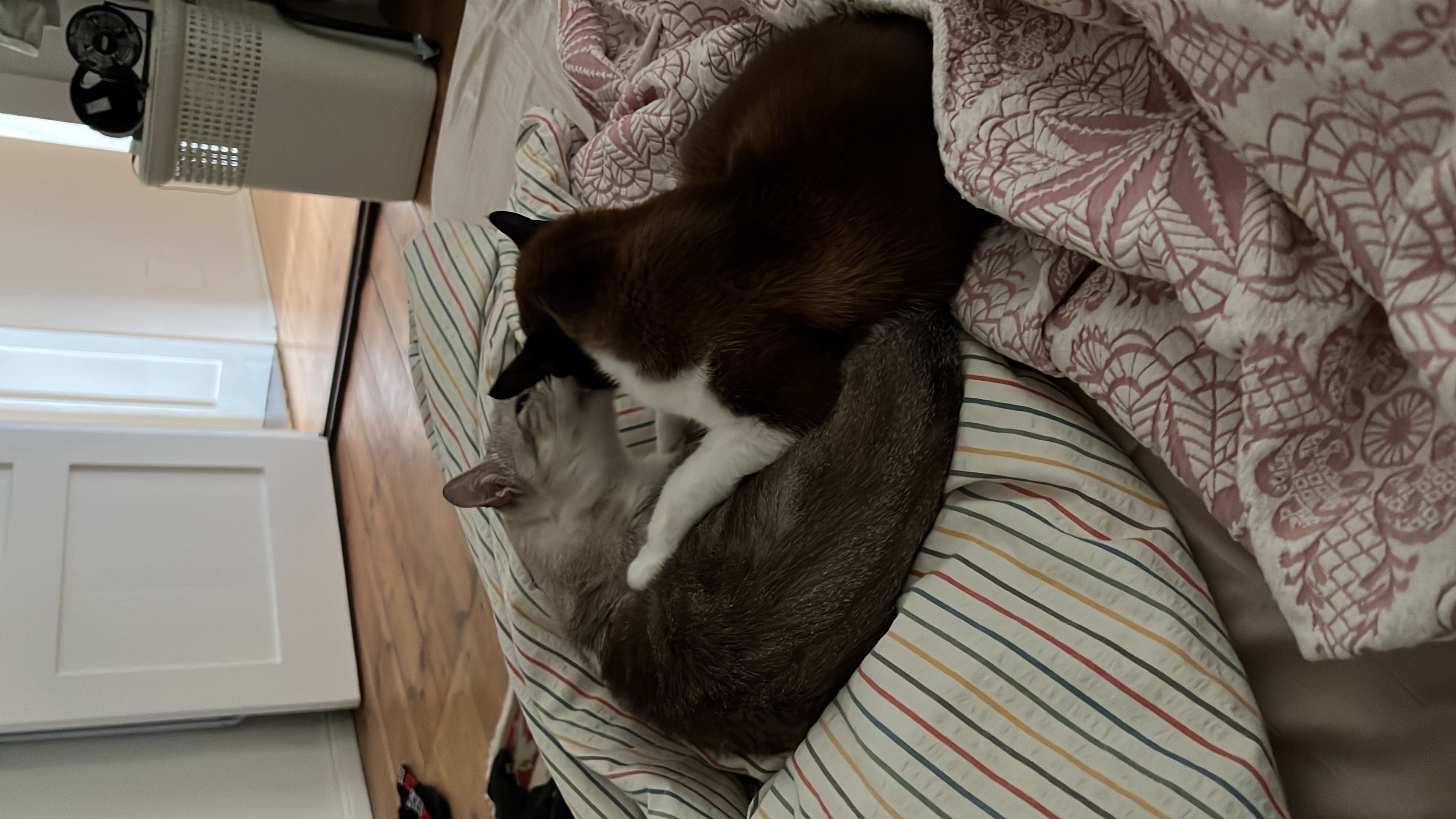 image-13