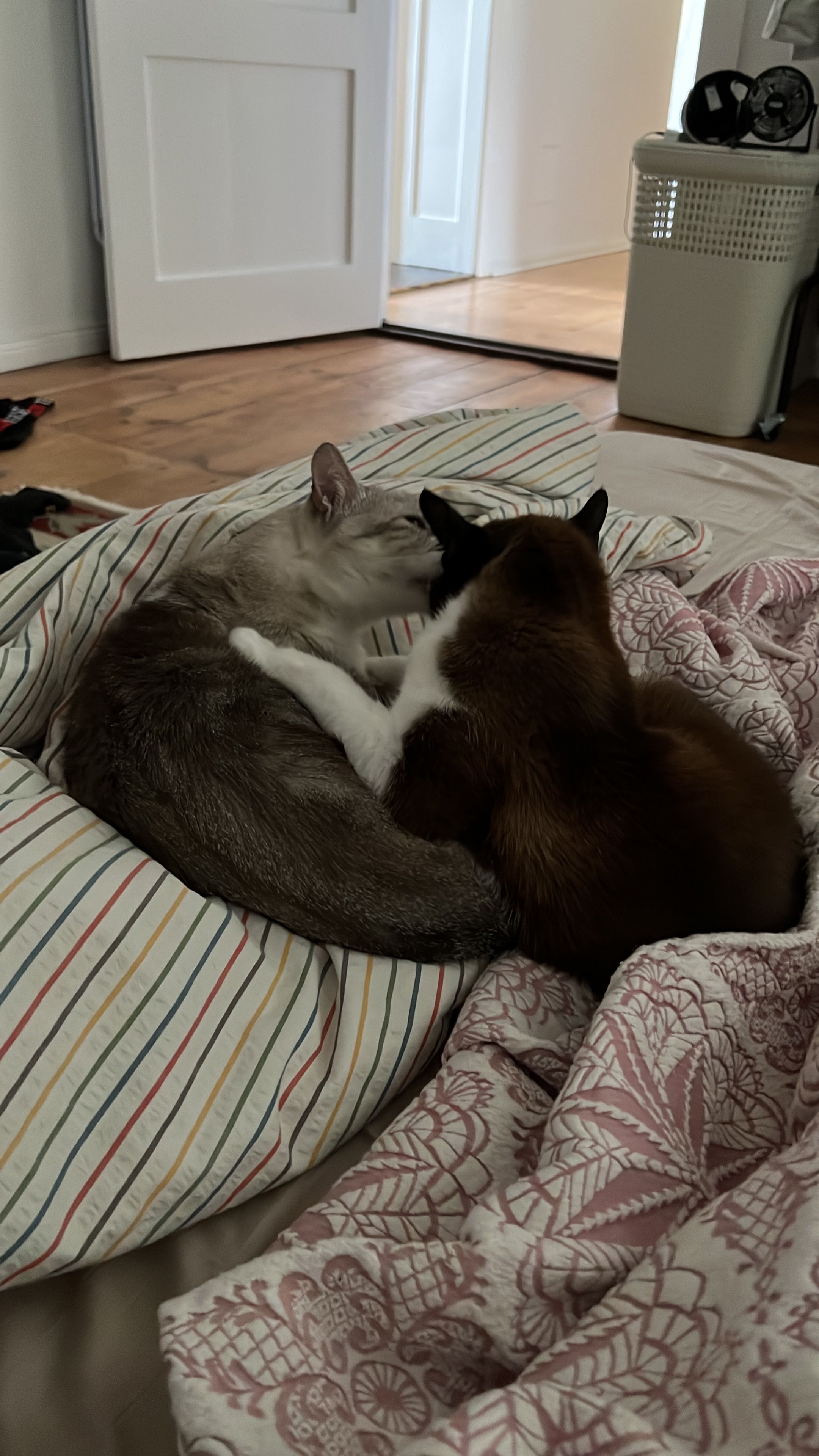 image-13