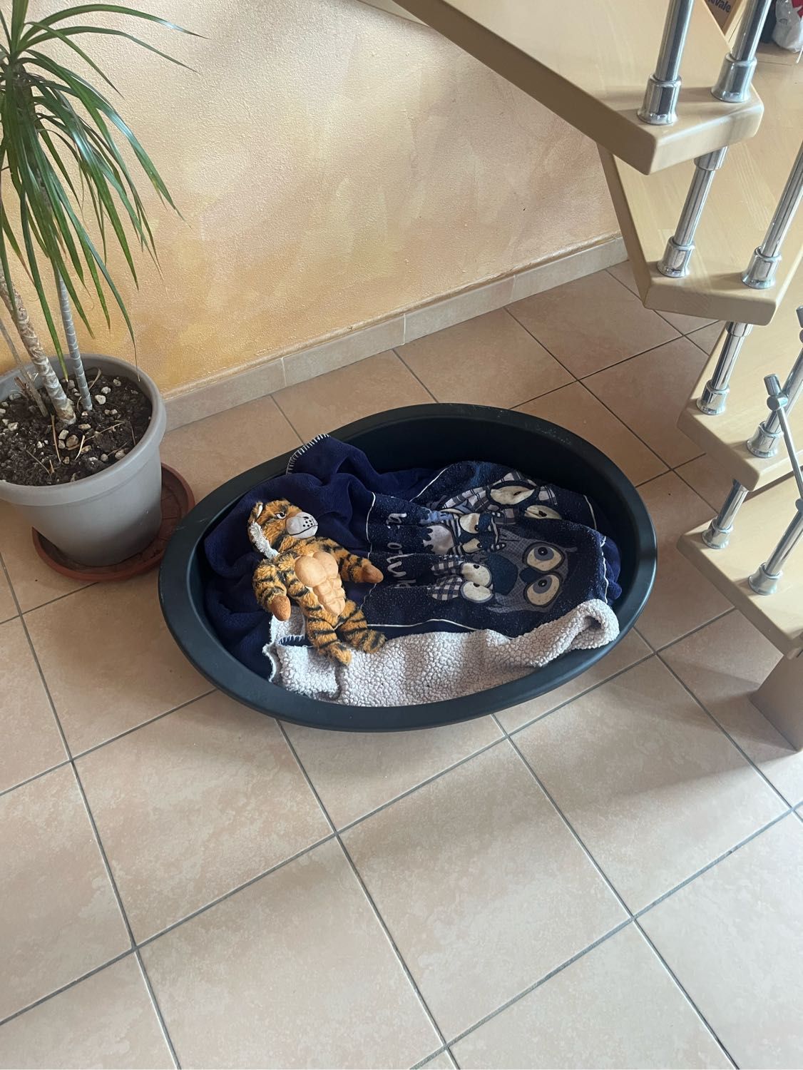 image-5