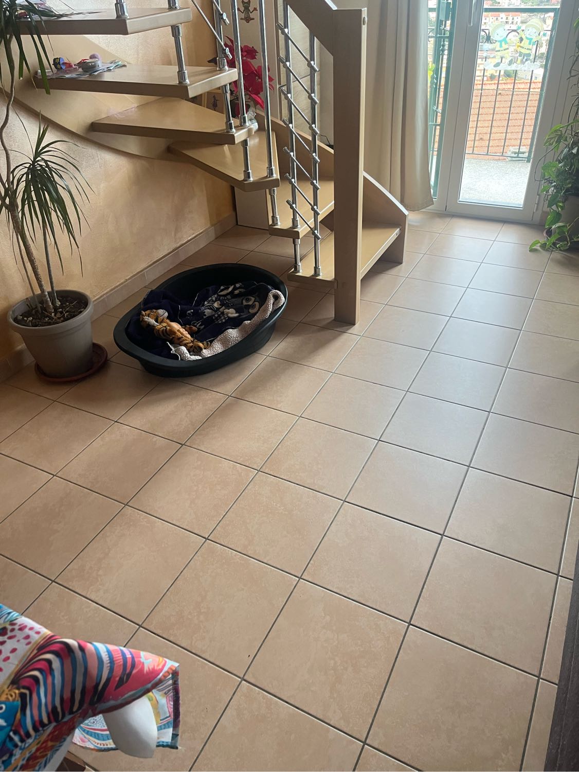 image-6