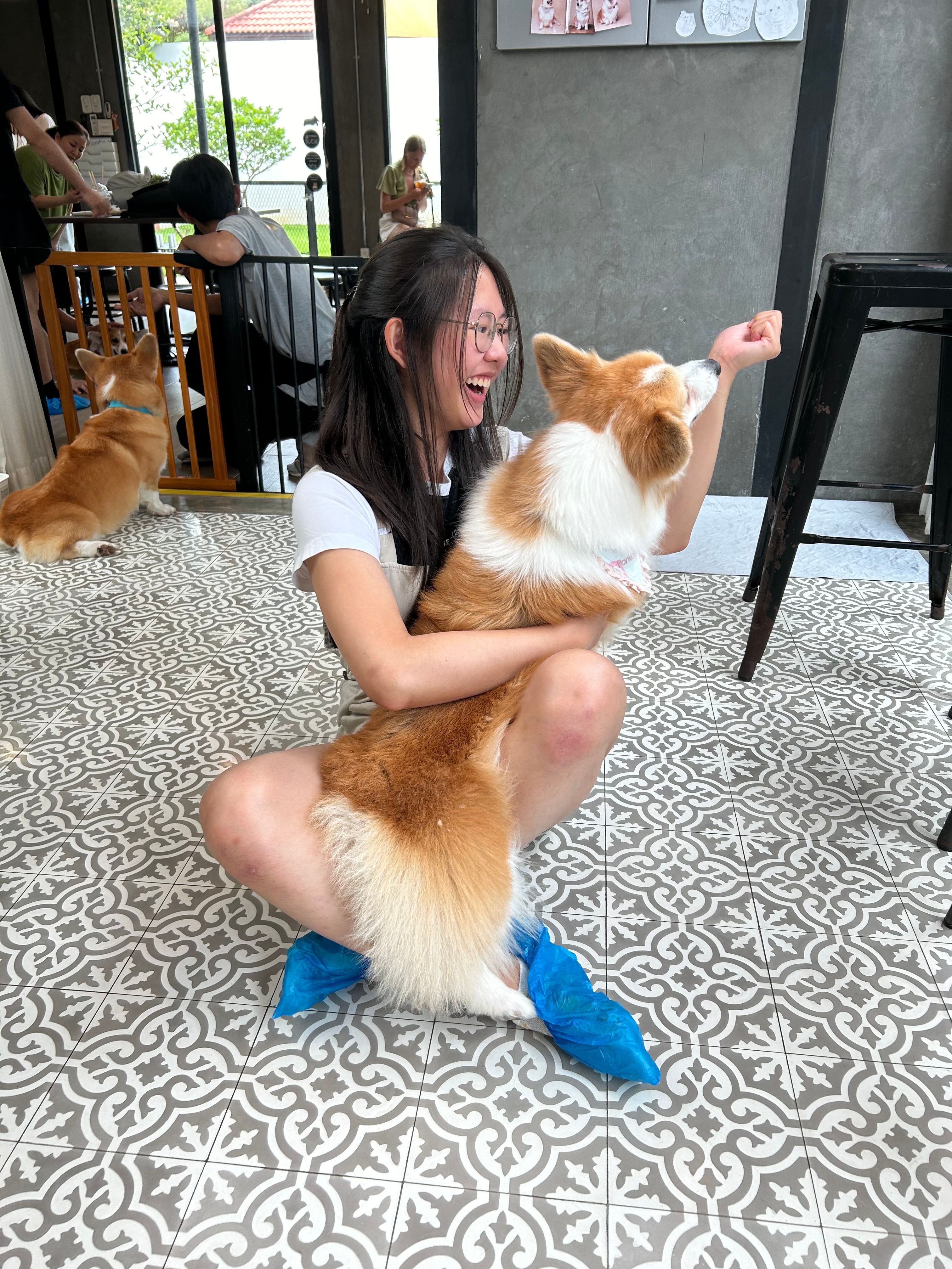 image-6