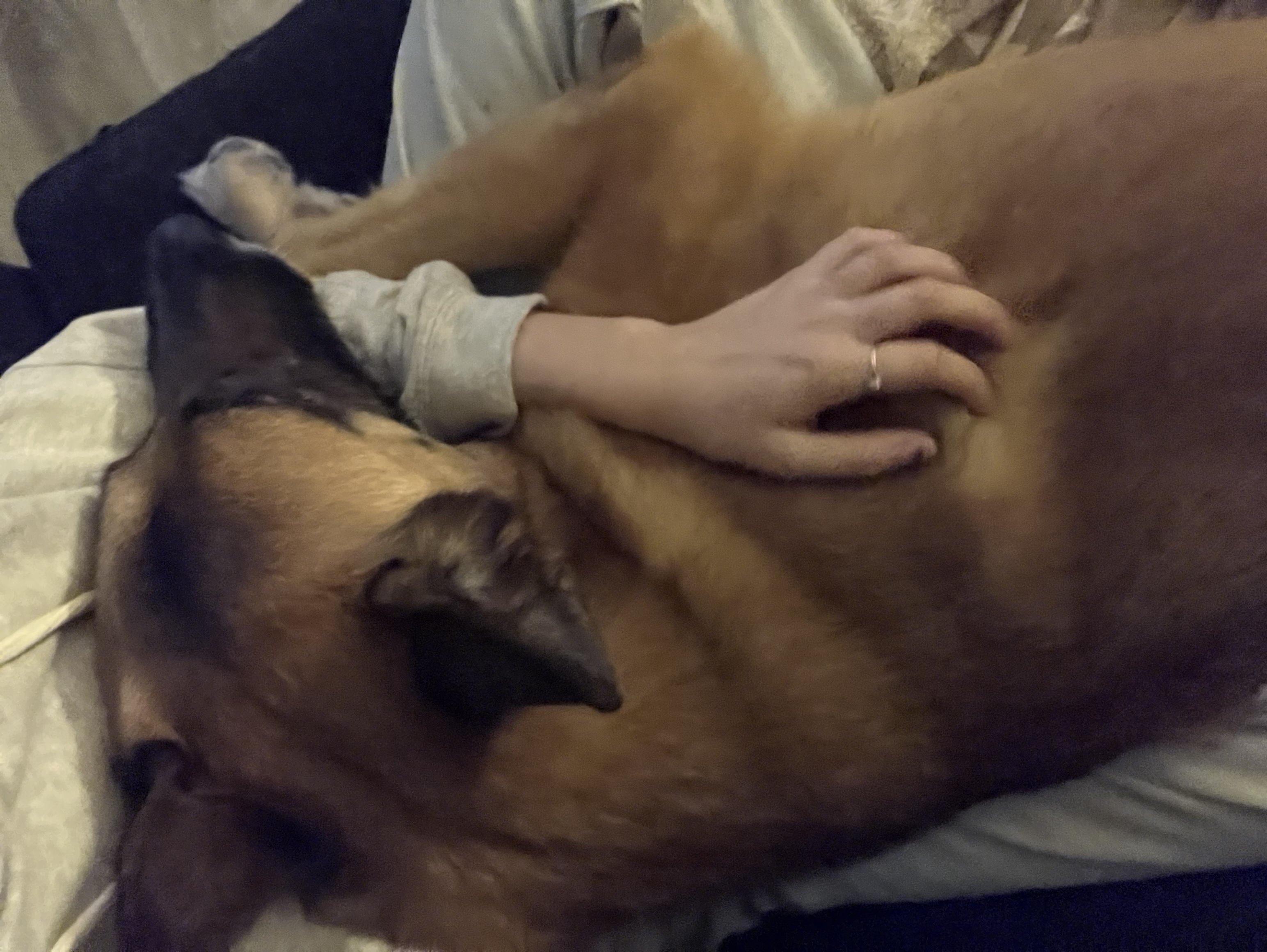 image-8