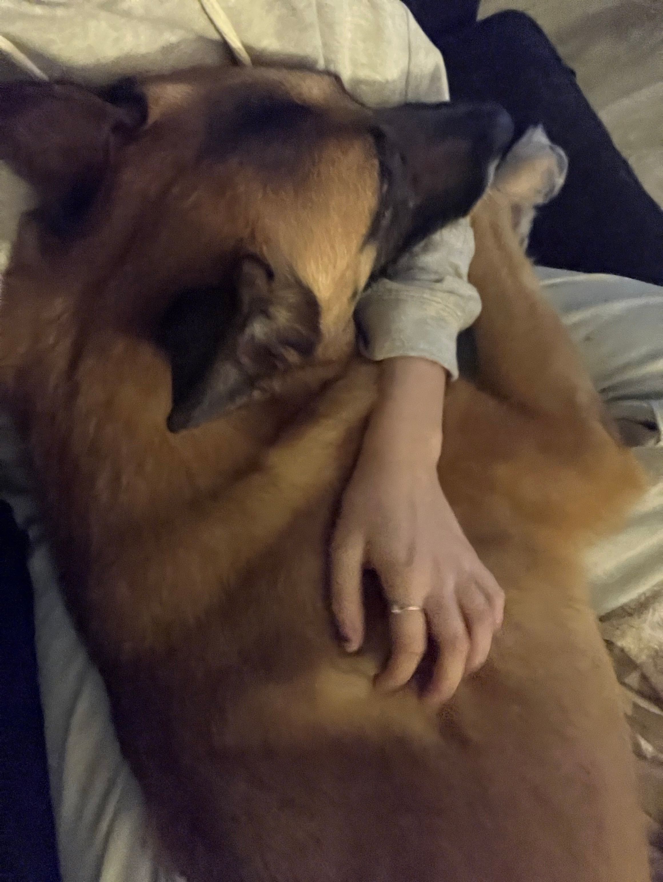 image-8