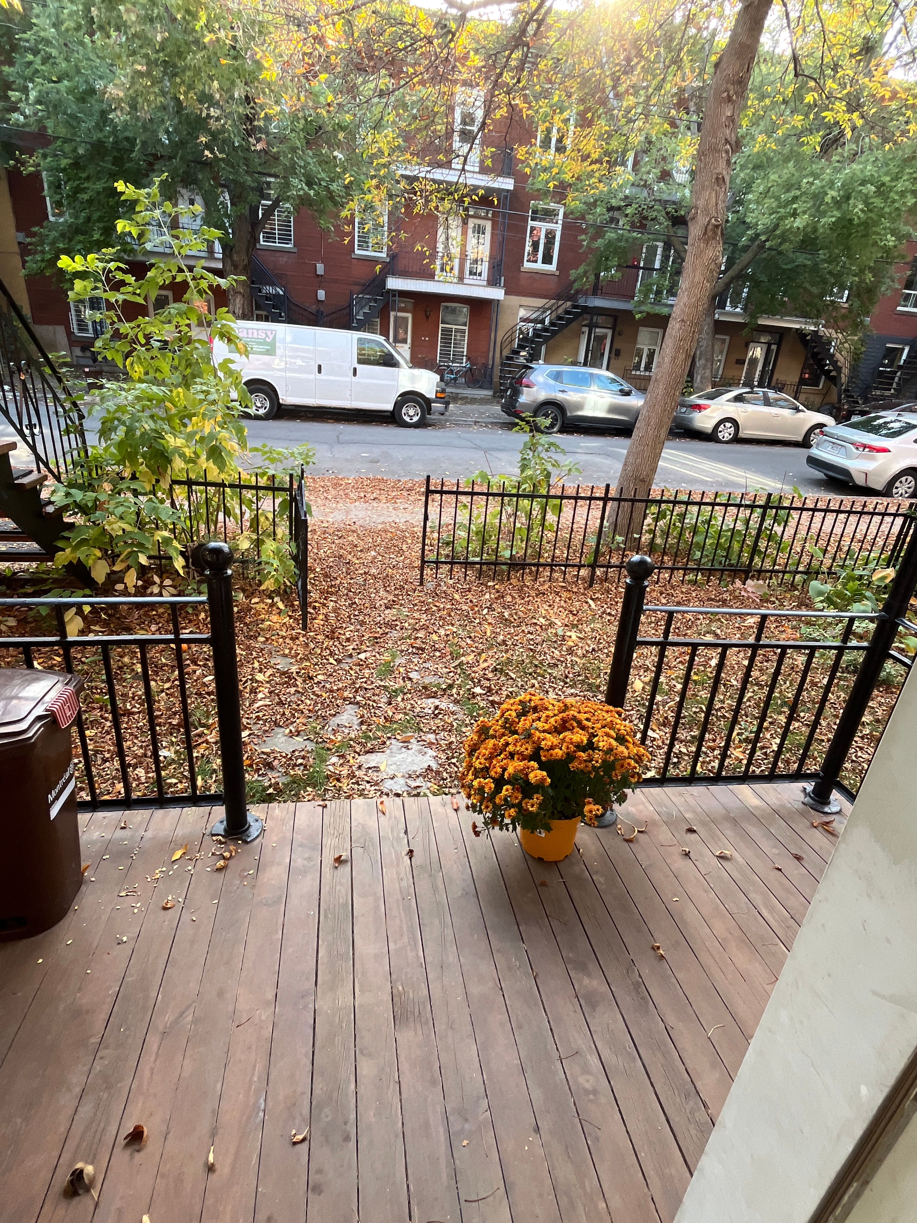image-17