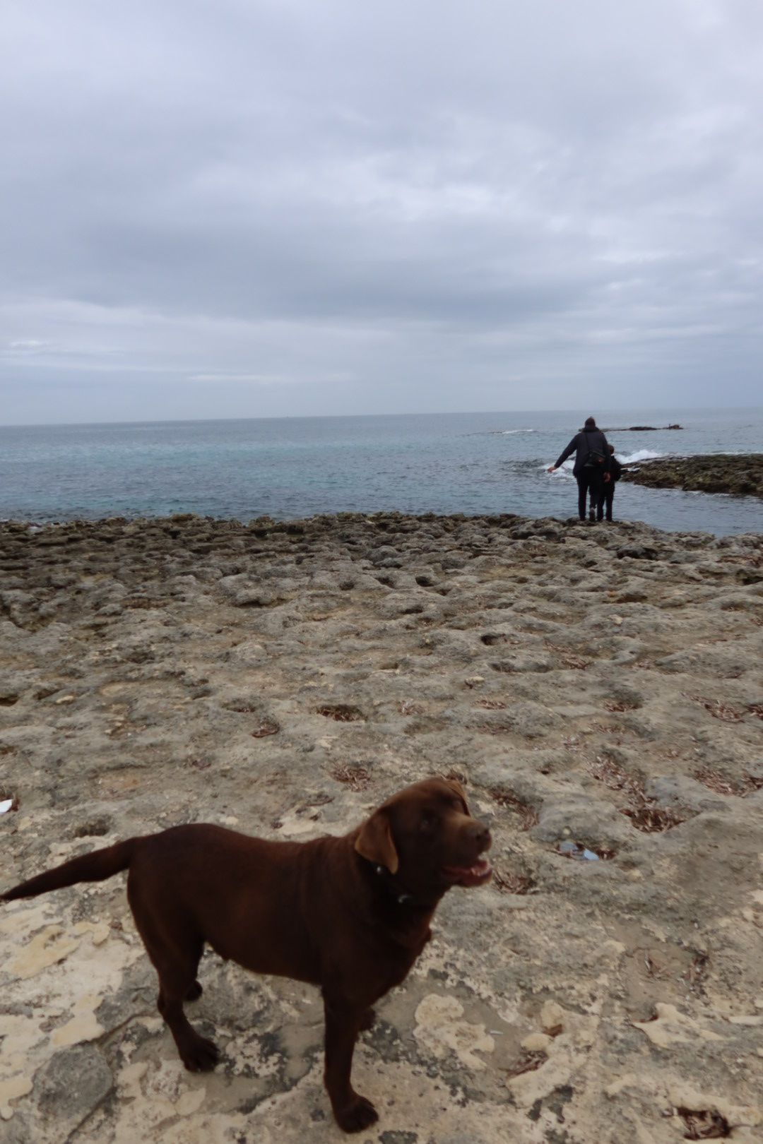 image-7