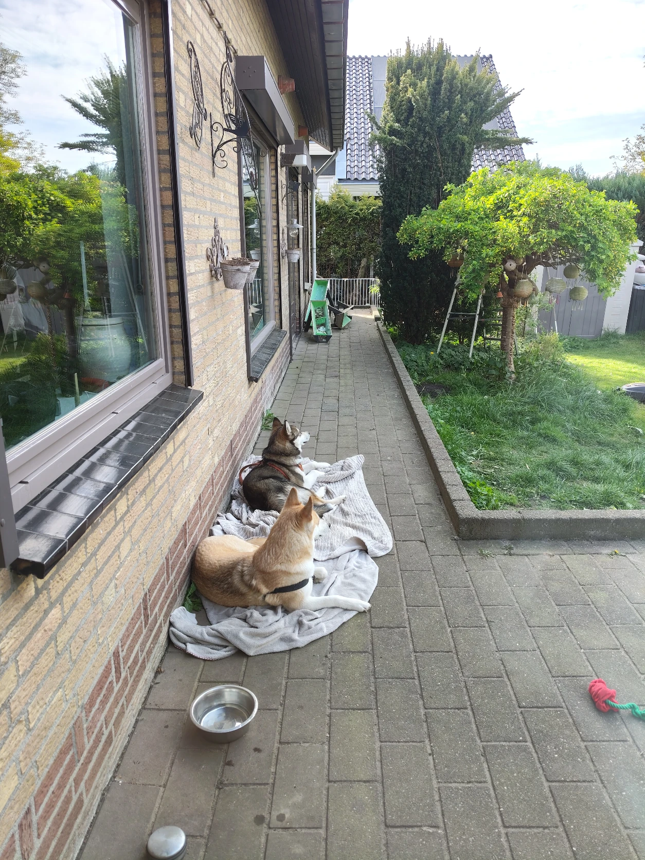 image-21