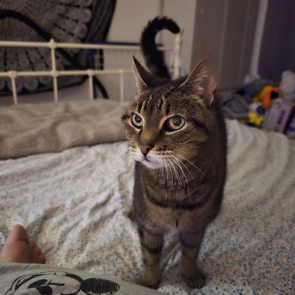 Dinkie