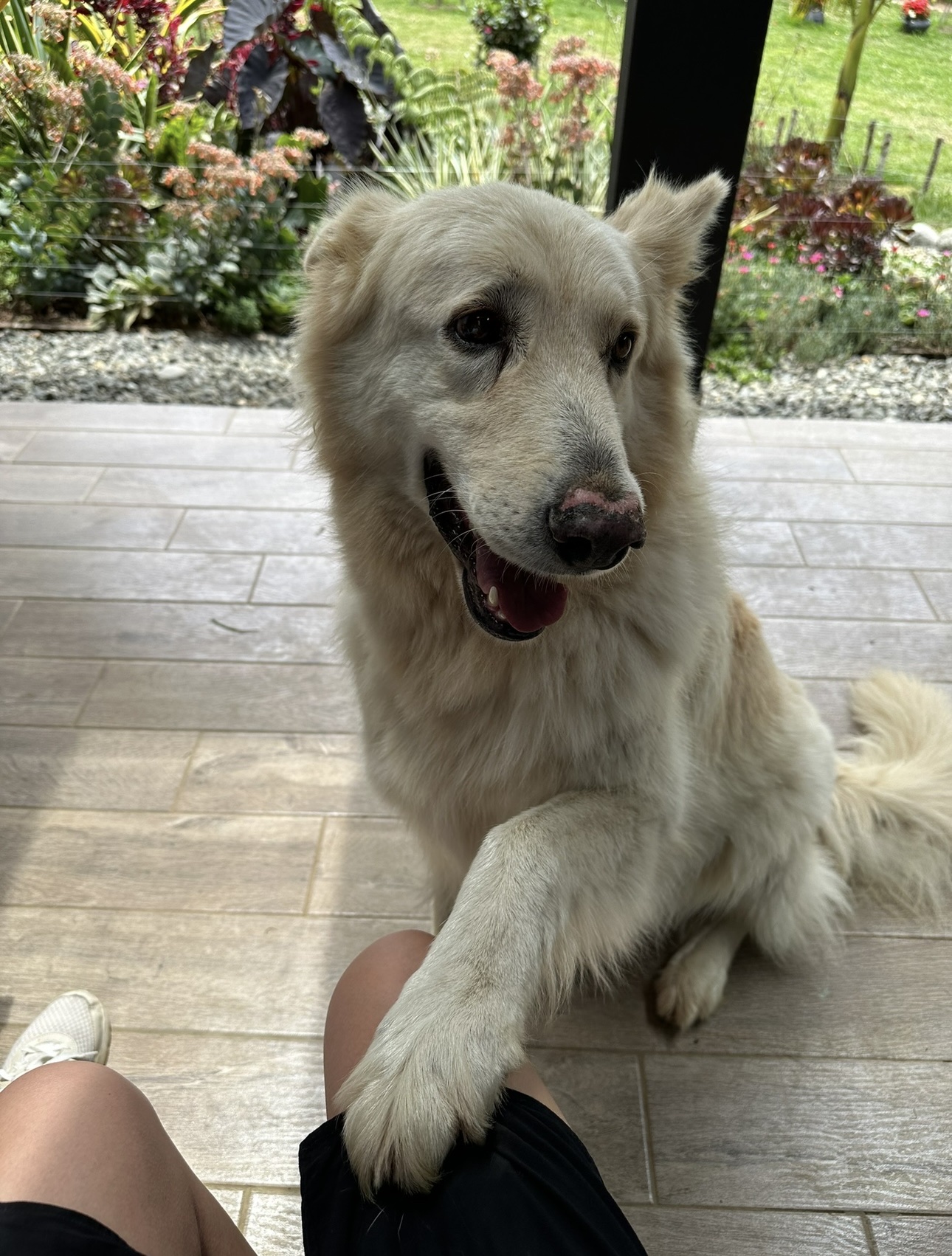 image-7