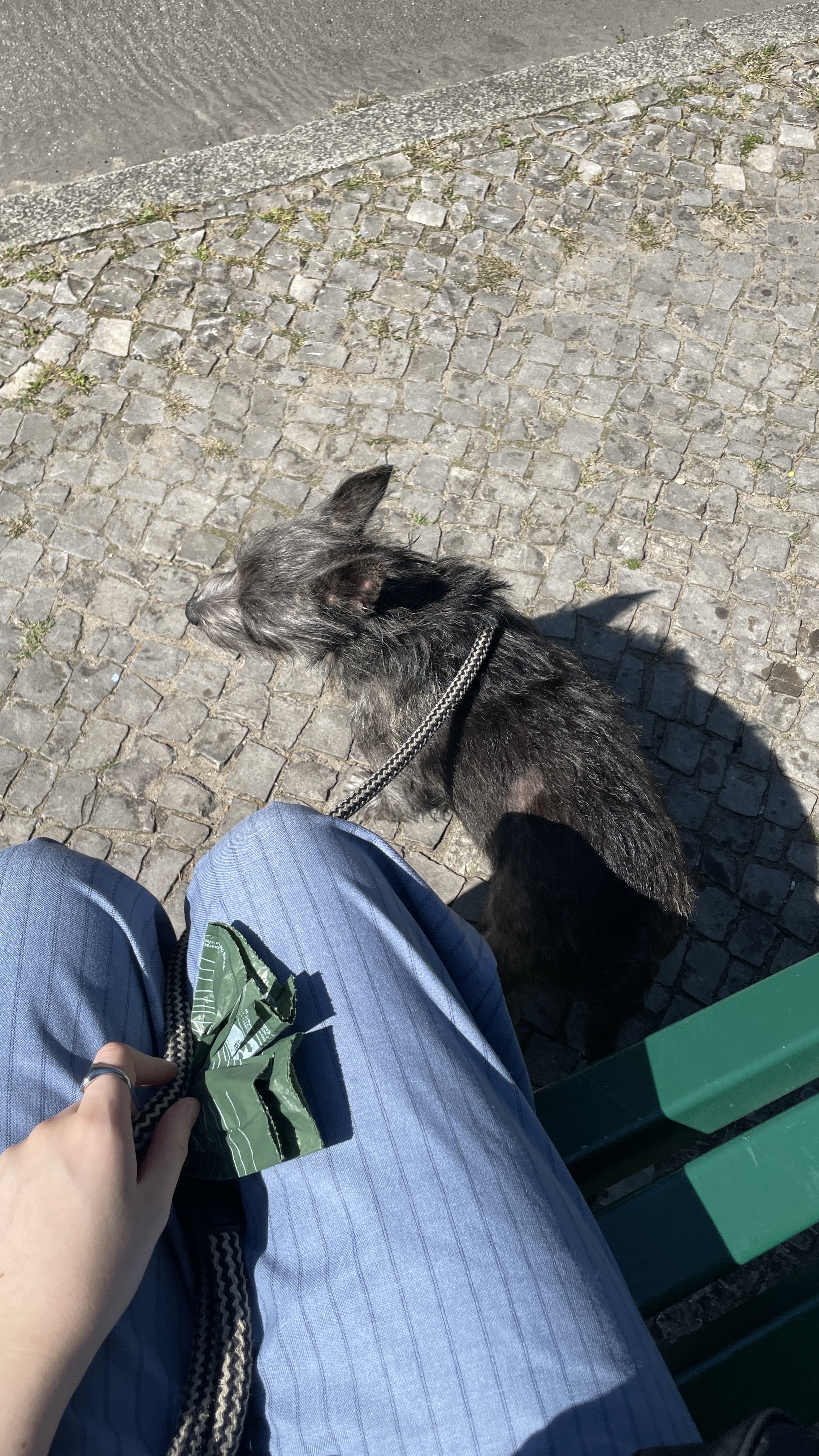 image-5