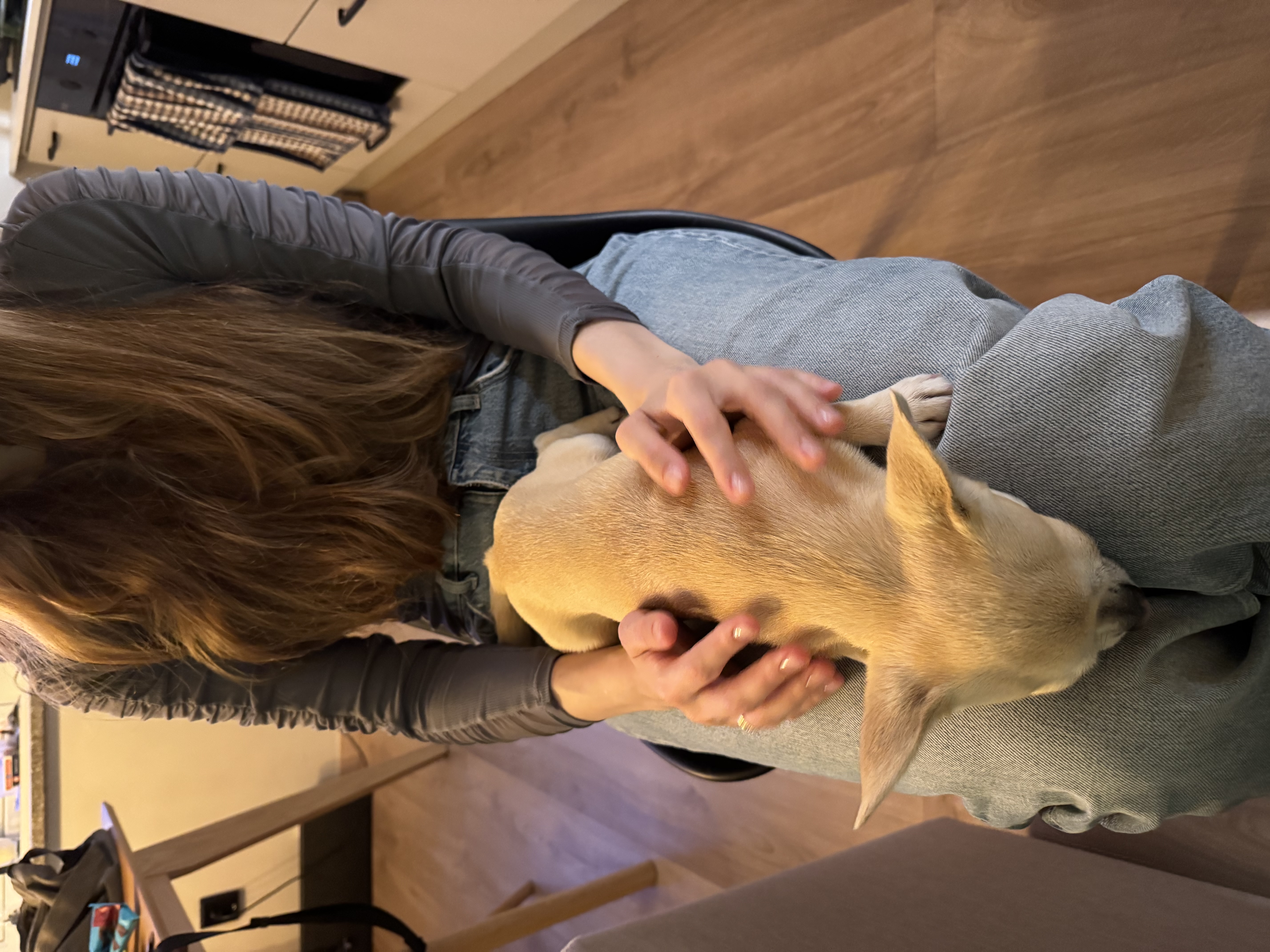 image-7