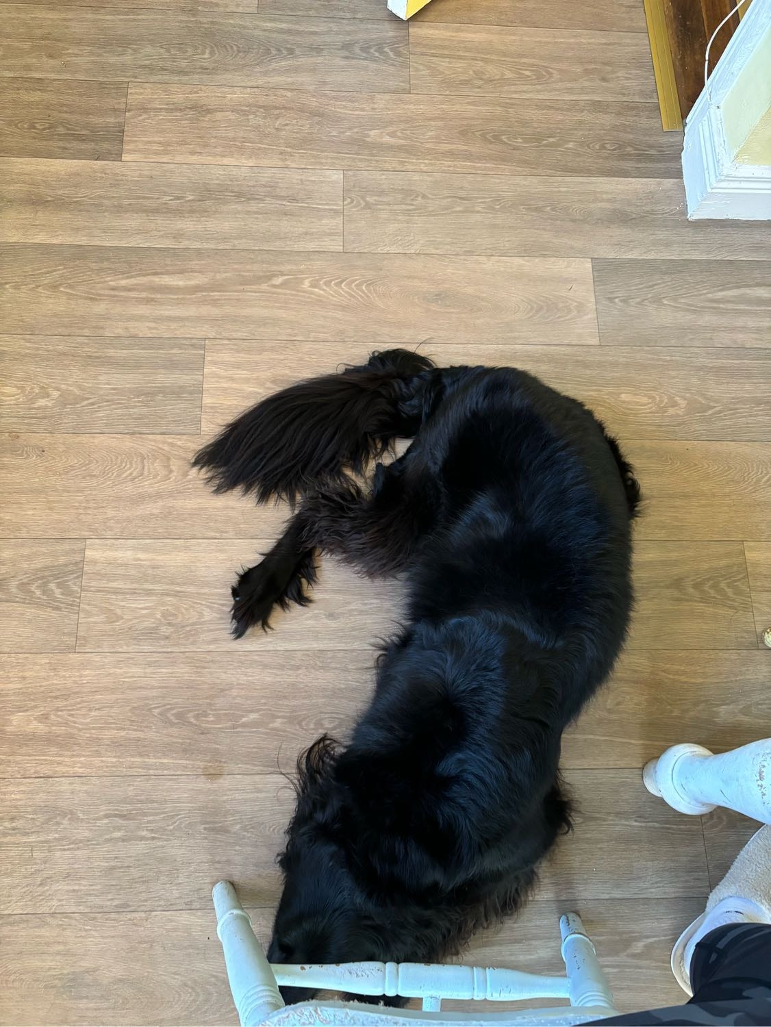 image-12