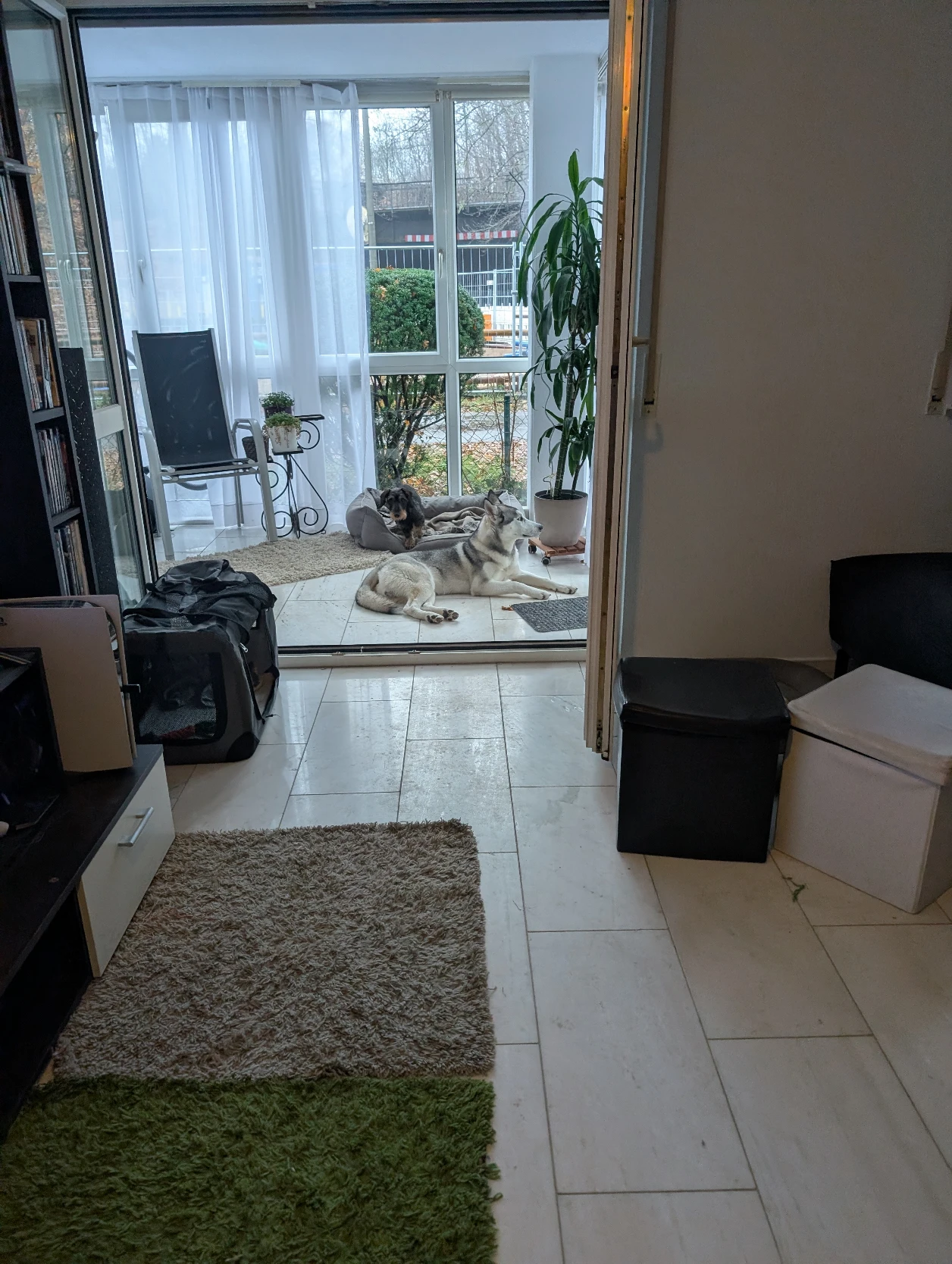 image-16