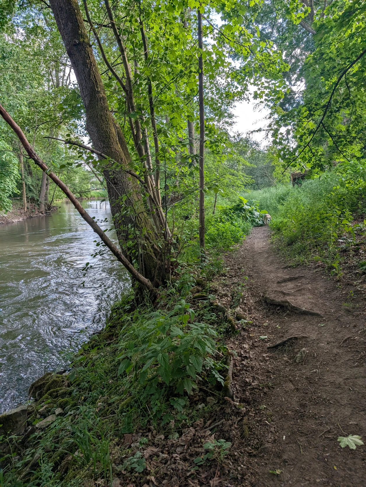 image-15