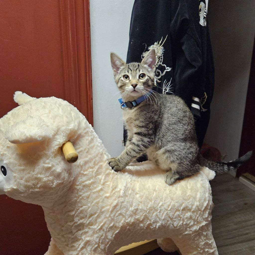 Tigger