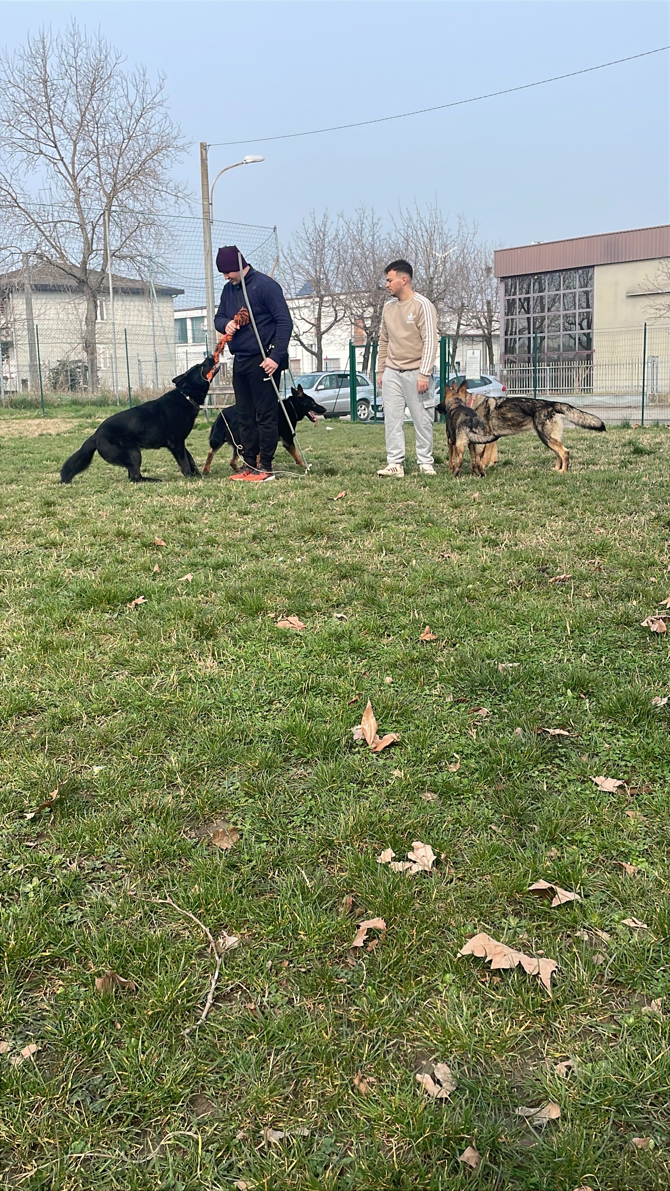 image-11