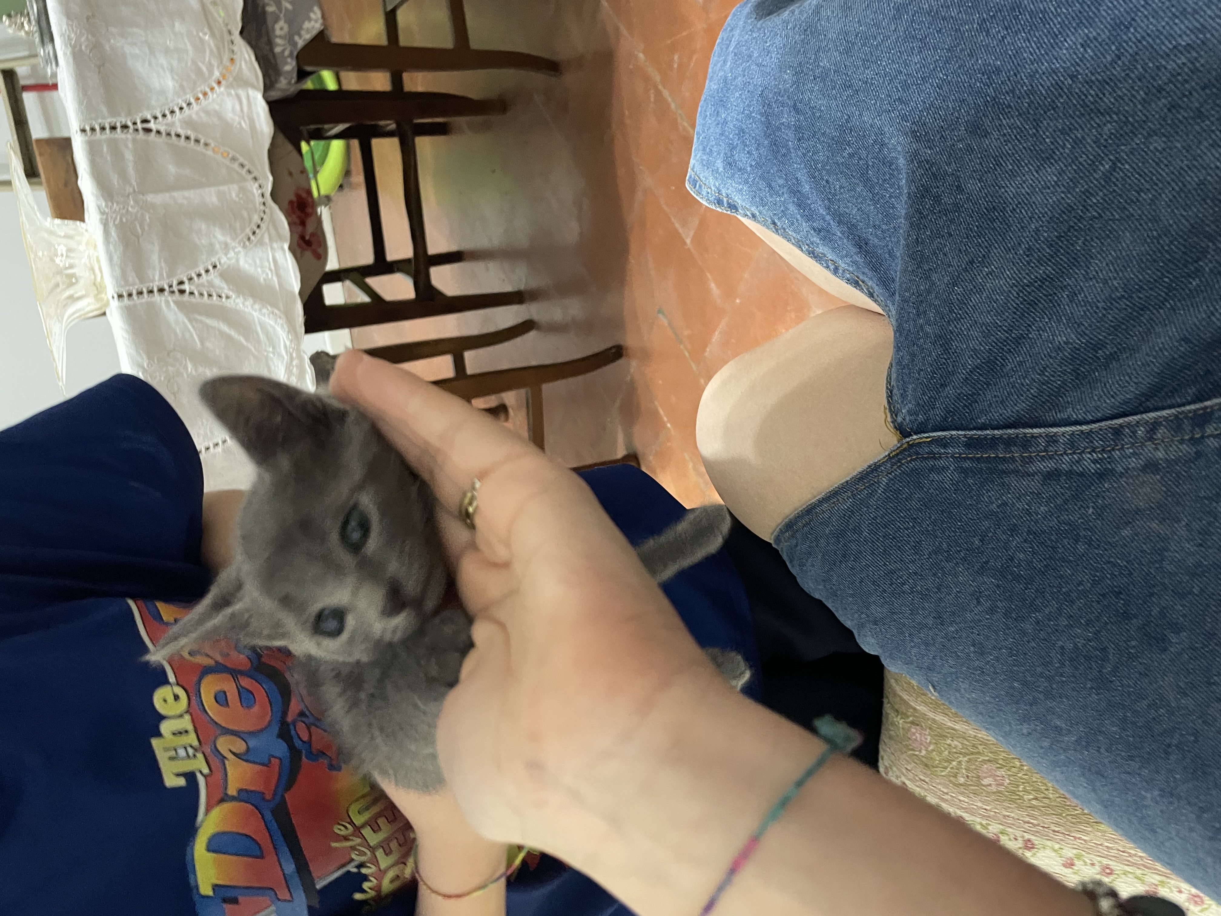 image-8
