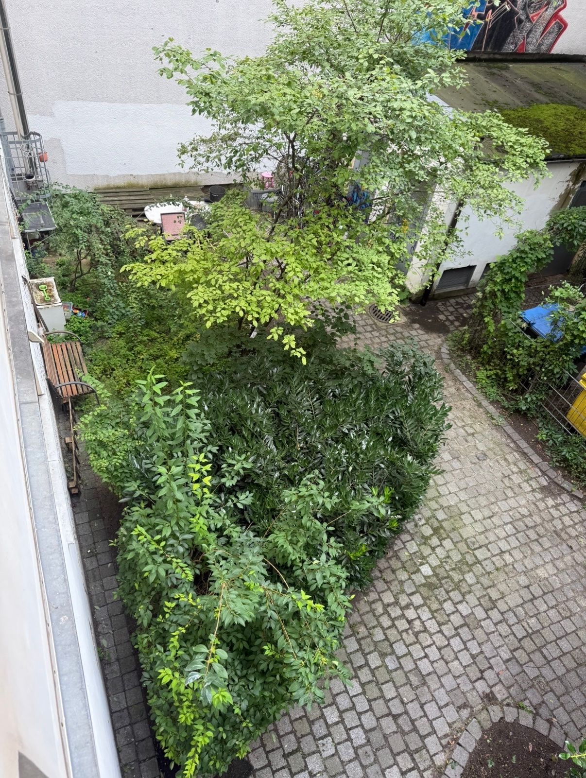 image-7