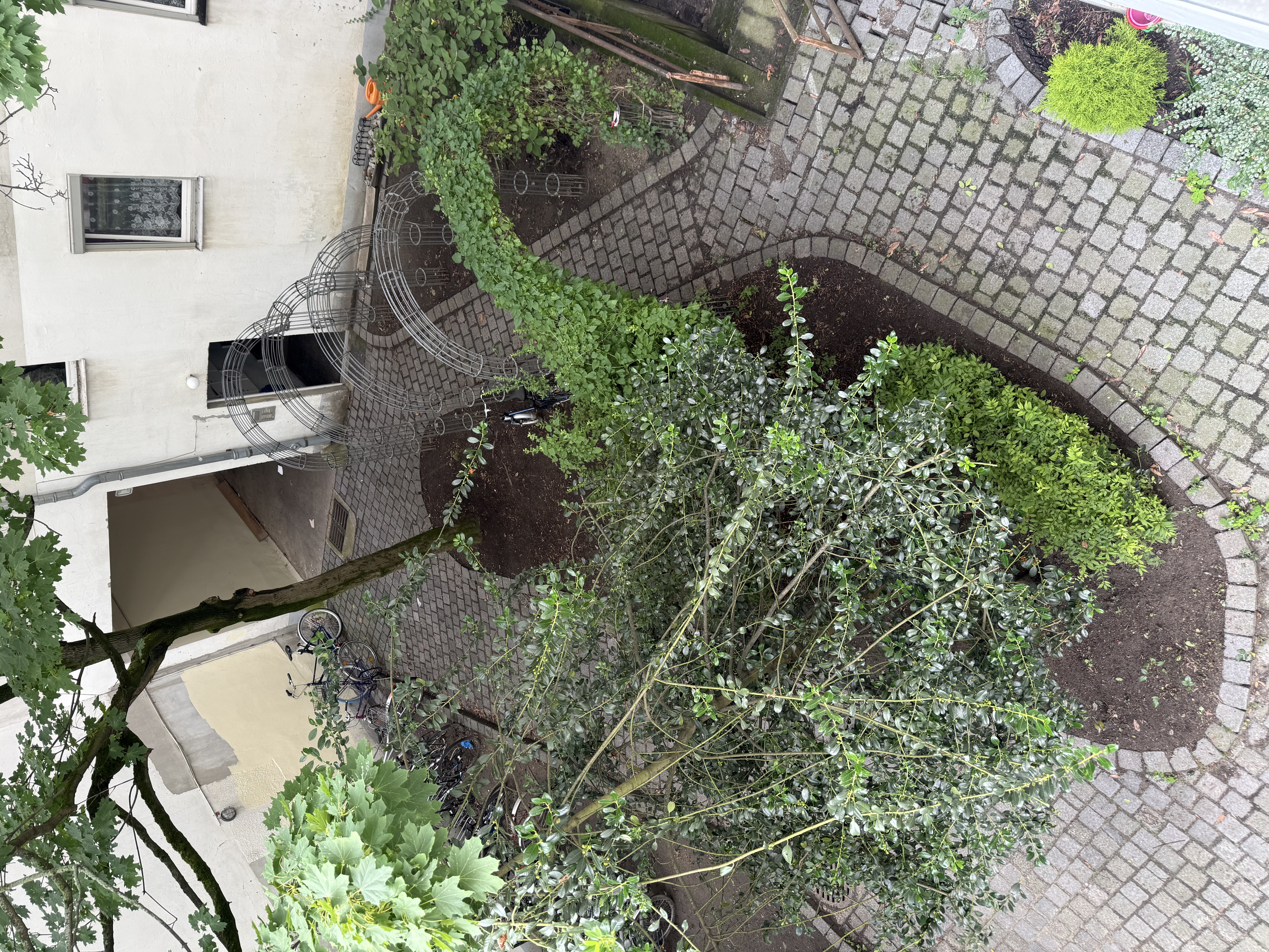image-8
