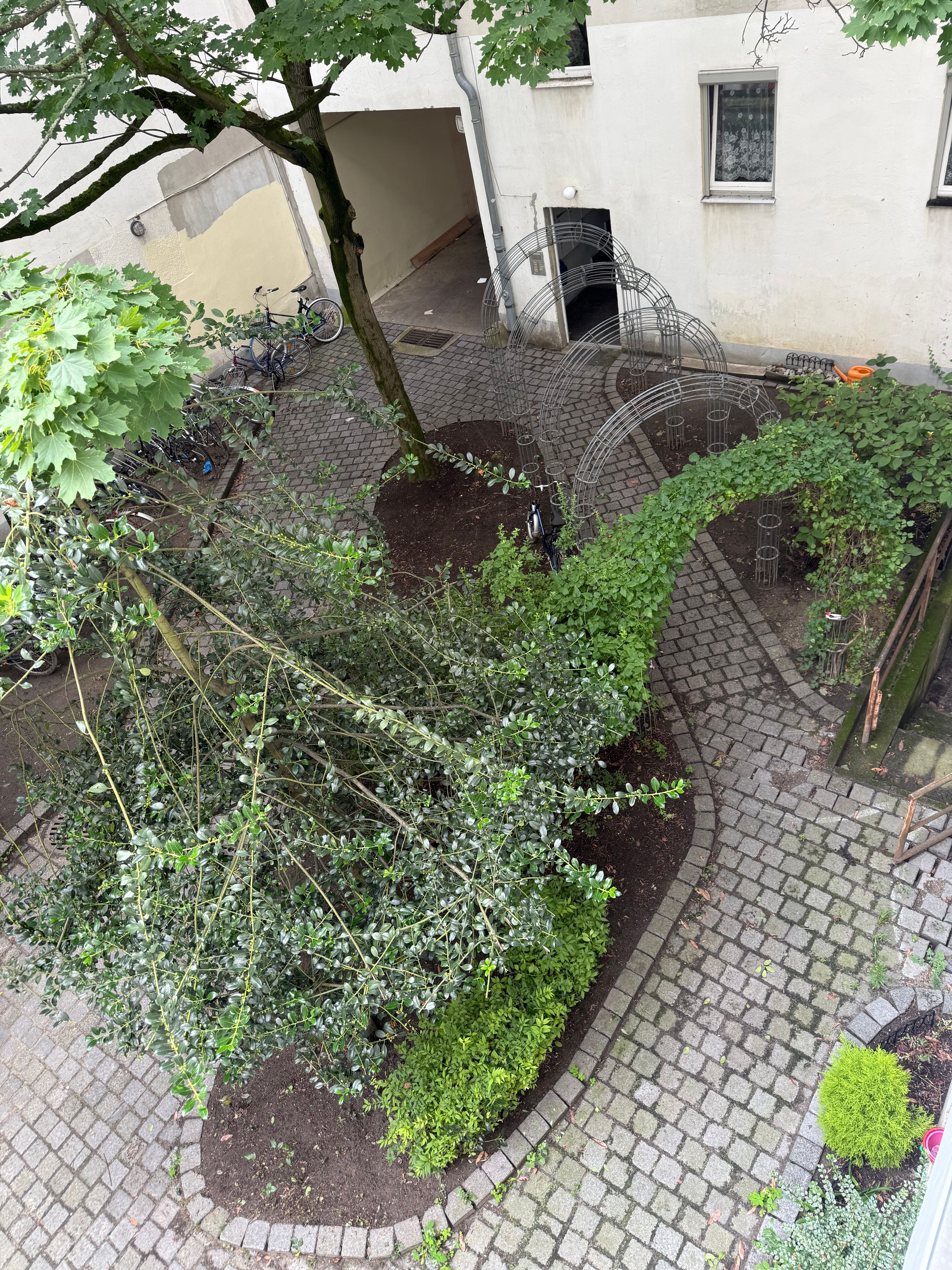 image-8
