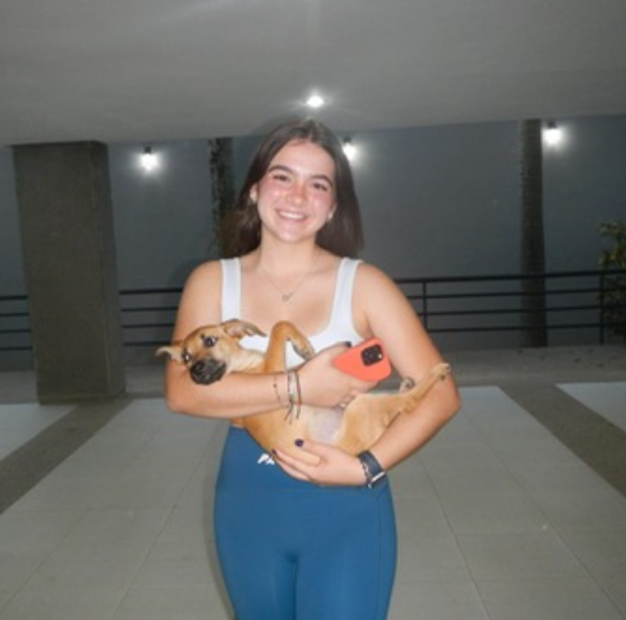 image-1
