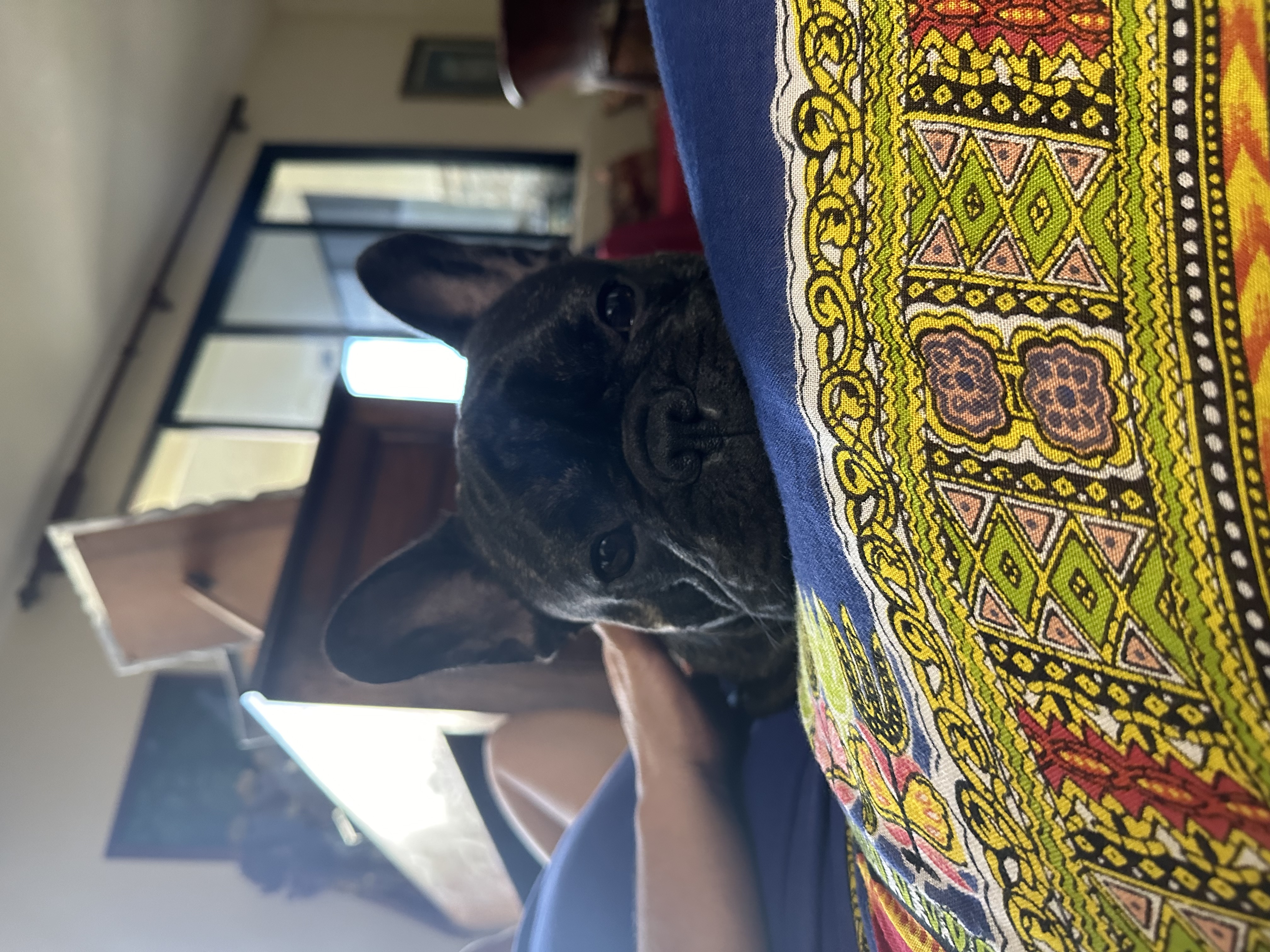 image-7