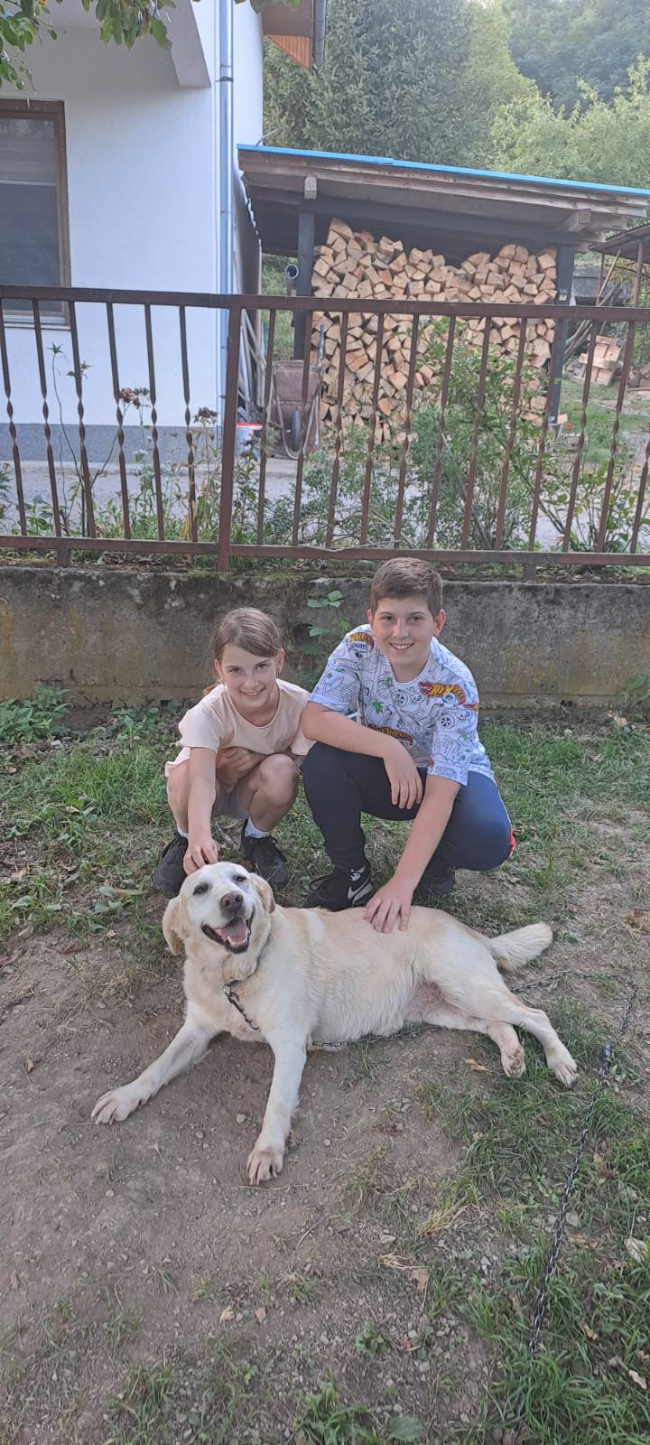 image-7